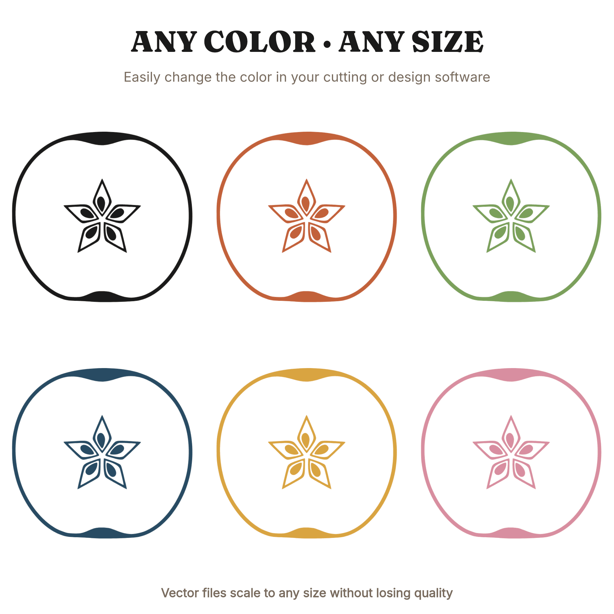 Apple Star Cross Section SVG PNG, Back to School Teacher Apple Cut File, Vintage Botanical Silhouette — view 2