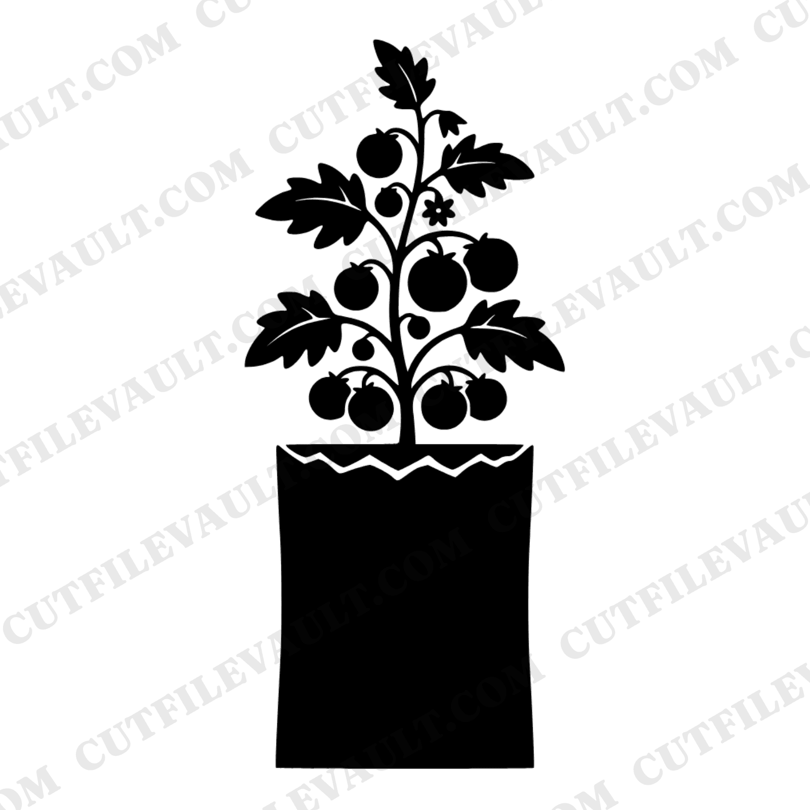 Vintage Seed Packet Heirloom Tomato SVG PNG, Retro Herbarium Botanical Plant Cut File Earth Day