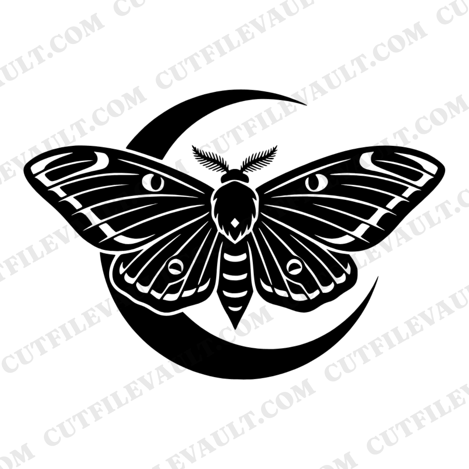 Mystical Moth on Crescent Moon SVG PNG Summer Solstice Celestial Cut File Vintage Botanical