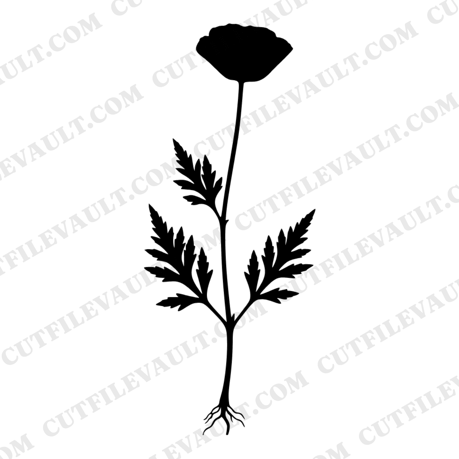 Botanical Poppy Herbarium SVG PNG Memorial Day Specimen Cut File Vintage Flower Stem Roots Leaves — view 1