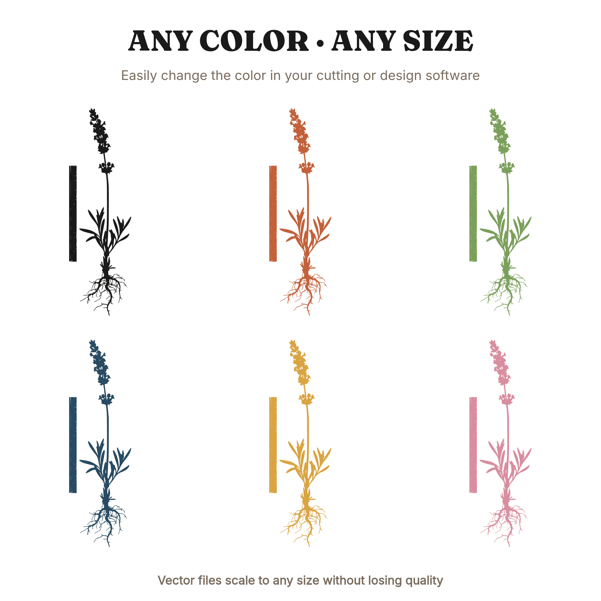 Pressed Lavender Botanical Specimen SVG PNG, Herbarium Style with Roots, Vintage Botanical Cut File — view 2