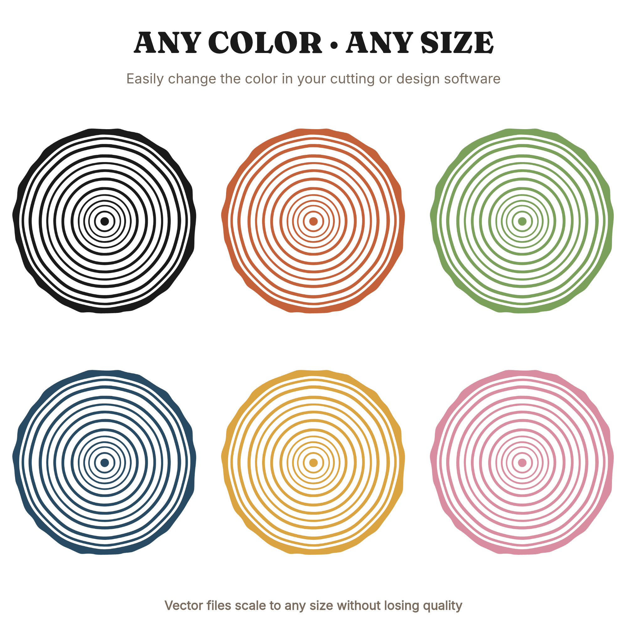 Nordic Birch Log Cross Section SVG PNG Summer Solstice Tree Rings Scandinavian Boho Organic Cut File — view 2