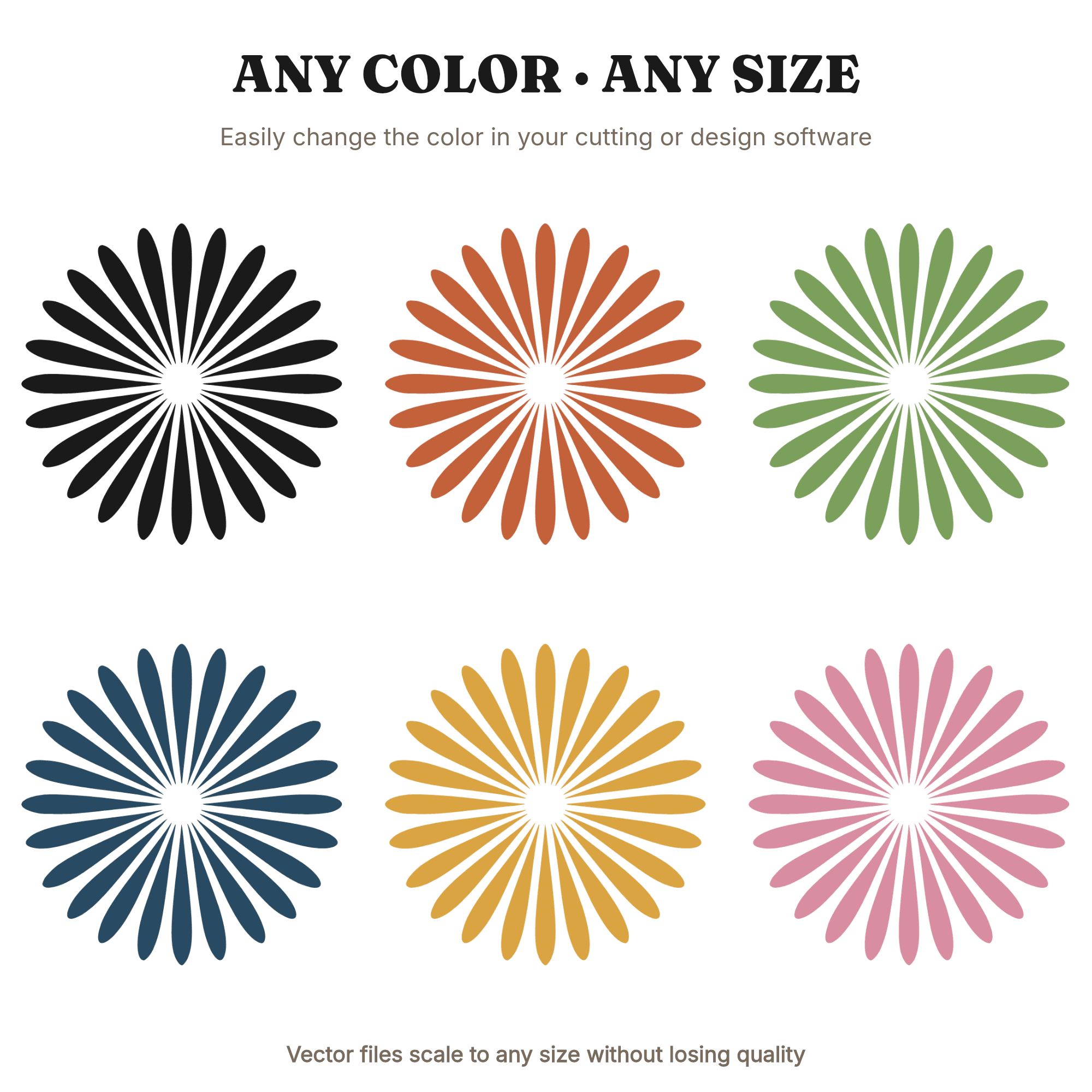 Chrysanthemum Firework SVG PNG, Independence Day Floral Burst, 4th of July Cottagecore Design — view 2