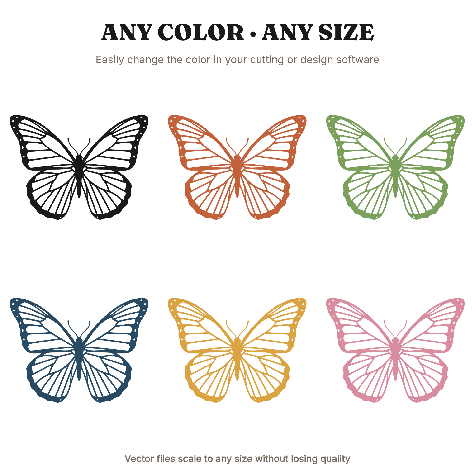 Summer Solstice Butterfly Stained Glass SVG PNG, Vintage Botanical Wings Cut File, Sun Ray Design — view 2