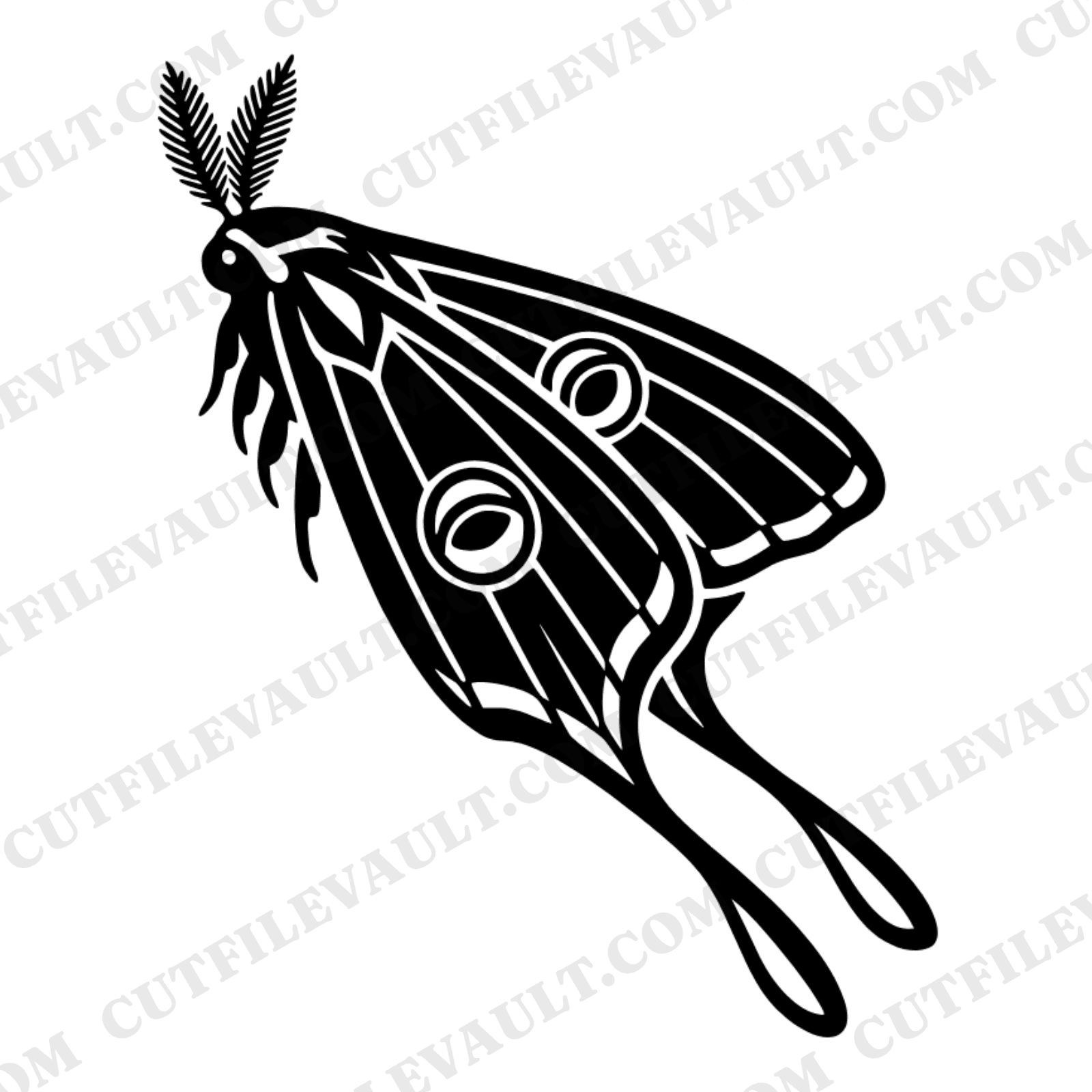 Luna Moth SVG PNG Art Deco Left Profile Specimen Cut File Geometric Insect Vintage Scientific — view 1