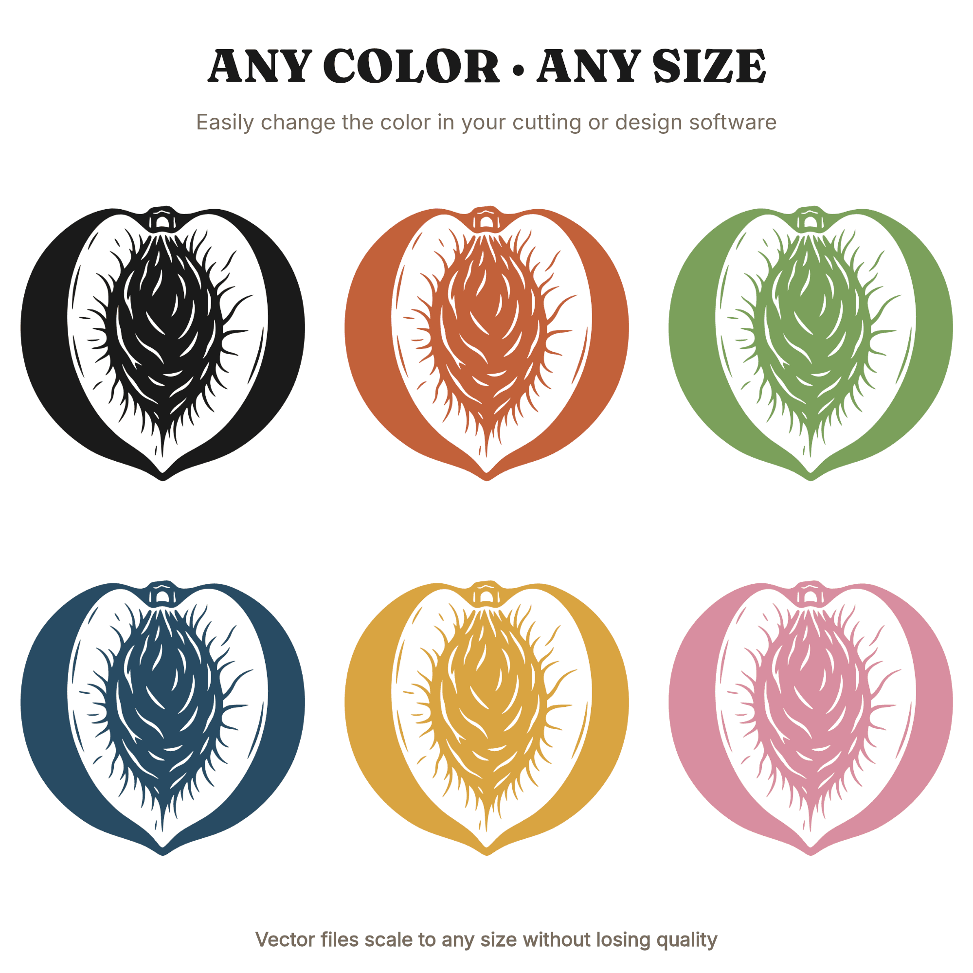 Vintage Peach Pit Split SVG PNG, Mid Century Silhouette, Cottagecore Botanical Art Cut File — view 2