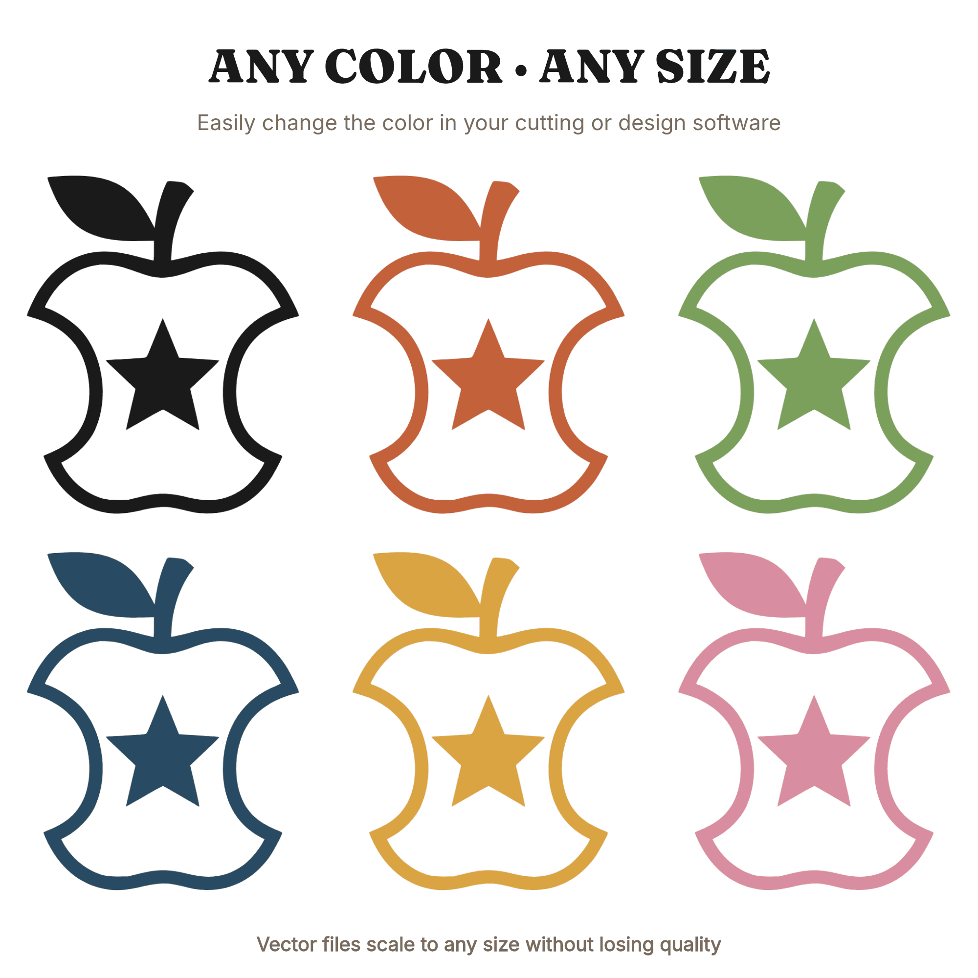 Apple Core Star SVG PNG, Back to School Teacher Apple Cross Section Cut File, Modern Brutalist Design — view 2