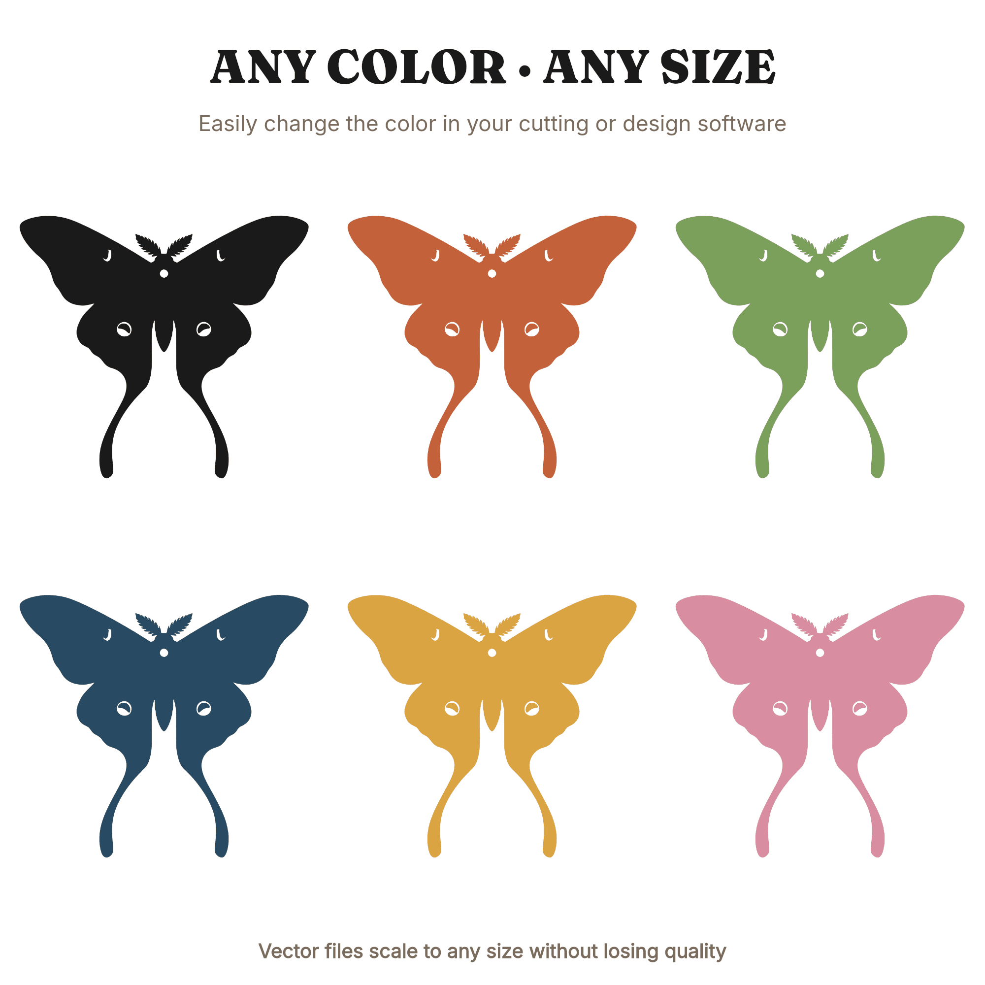 Victorian Luna Moth Specimen SVG PNG, Cottagecore Entomology Display Cut File, Vintage Natural History — view 2