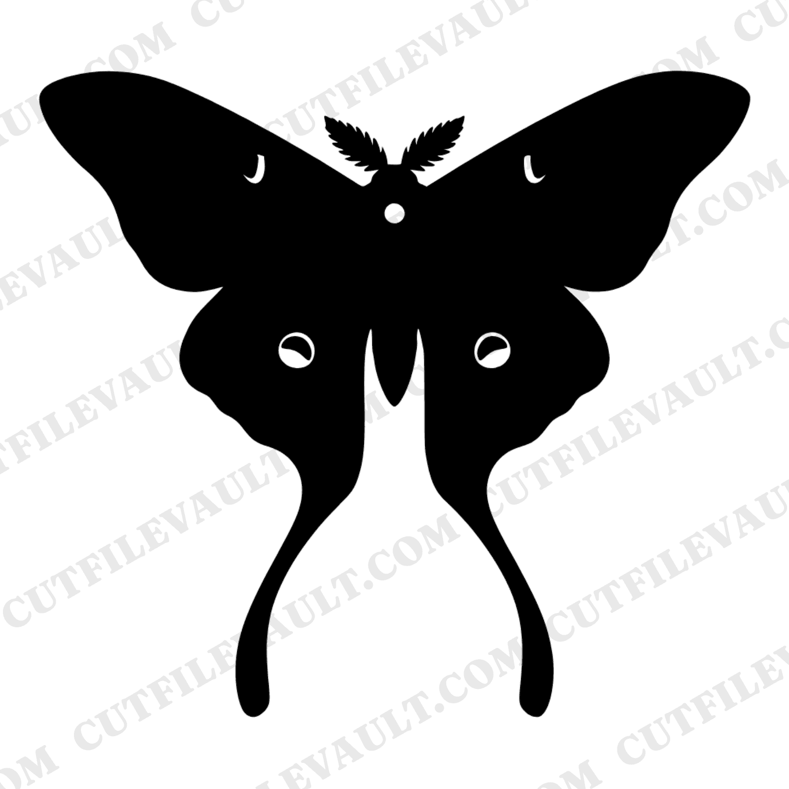 Victorian Luna Moth Specimen SVG PNG, Cottagecore Entomology Display Cut File, Vintage Natural History — view 1