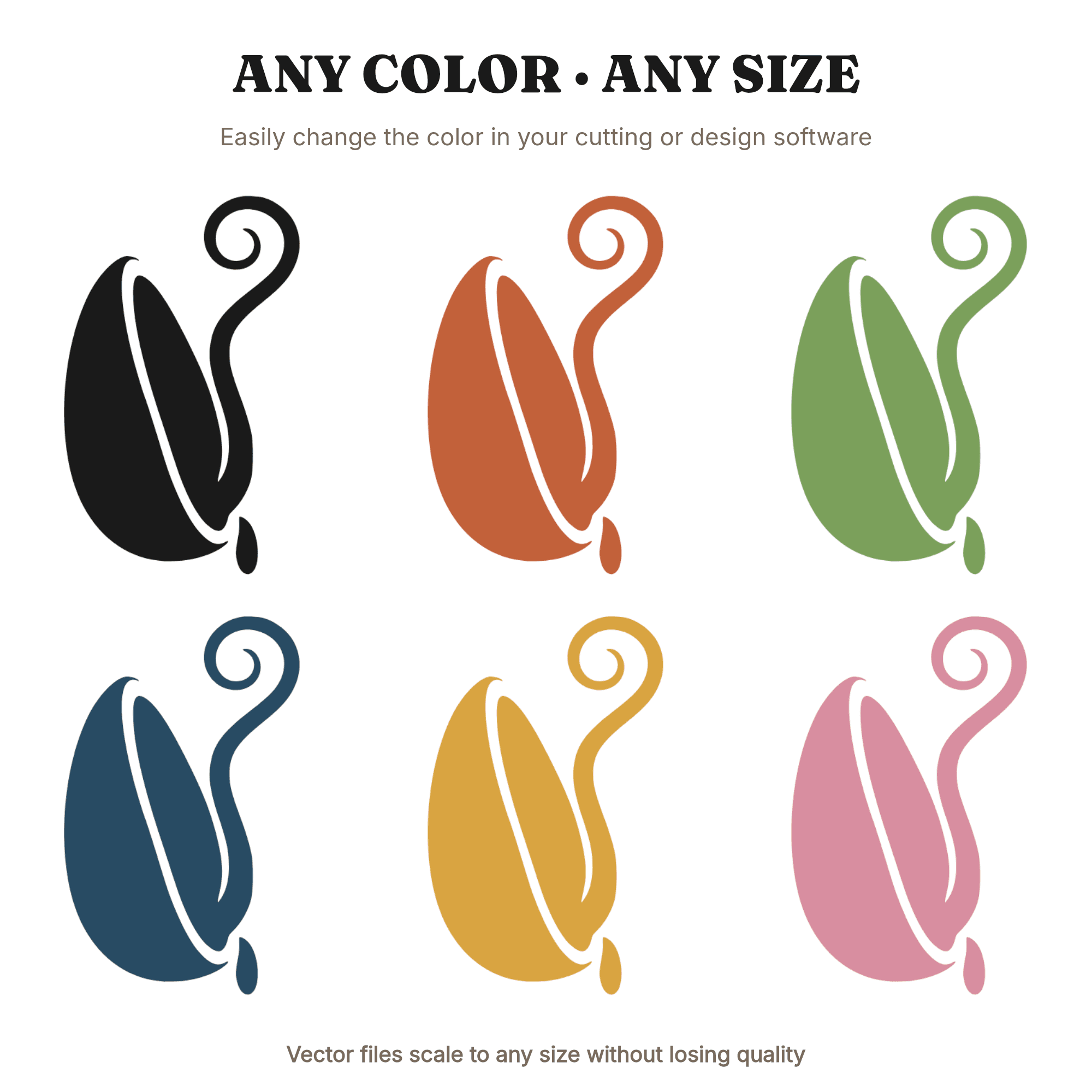 Watermelon Seed Sprout SVG PNG Botanical Cutaway Silhouette Cut File National Watermelon Day — view 2