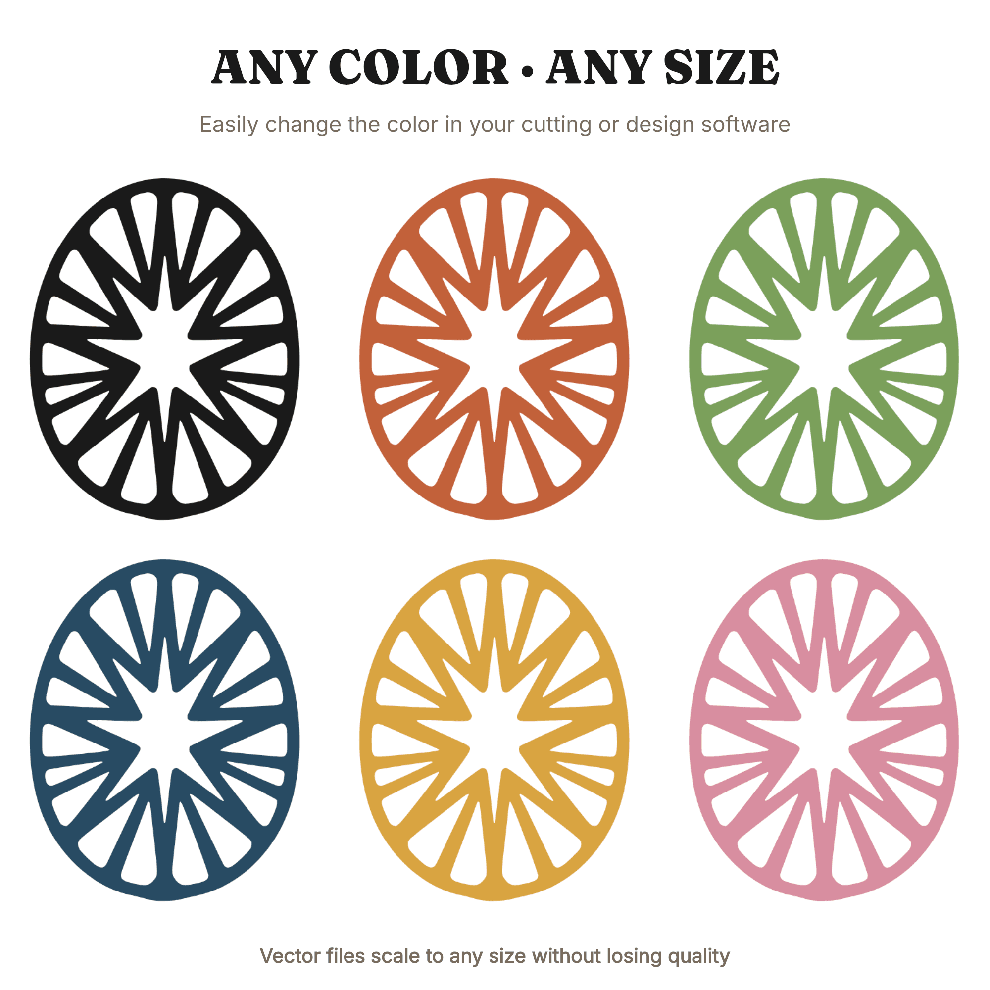 Nutmeg Cross Section SVG PNG Botanical Pumpkin Spice Cut File Modern Brutalist Autumn Fall Design — view 2