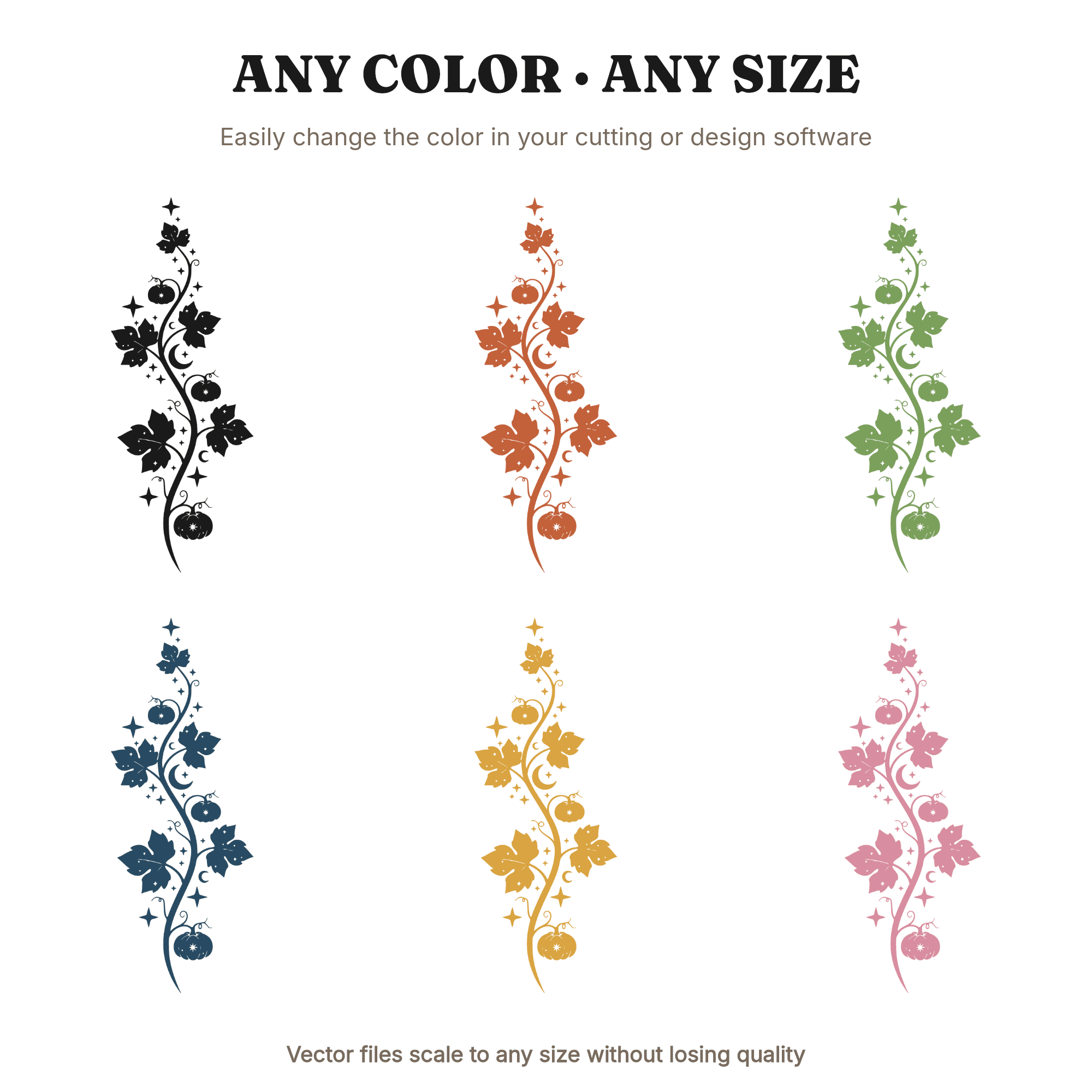 Celestial Pumpkin Vine Tendril SVG PNG First Day of Autumn Fall Botanical Cut File Mystical — view 2