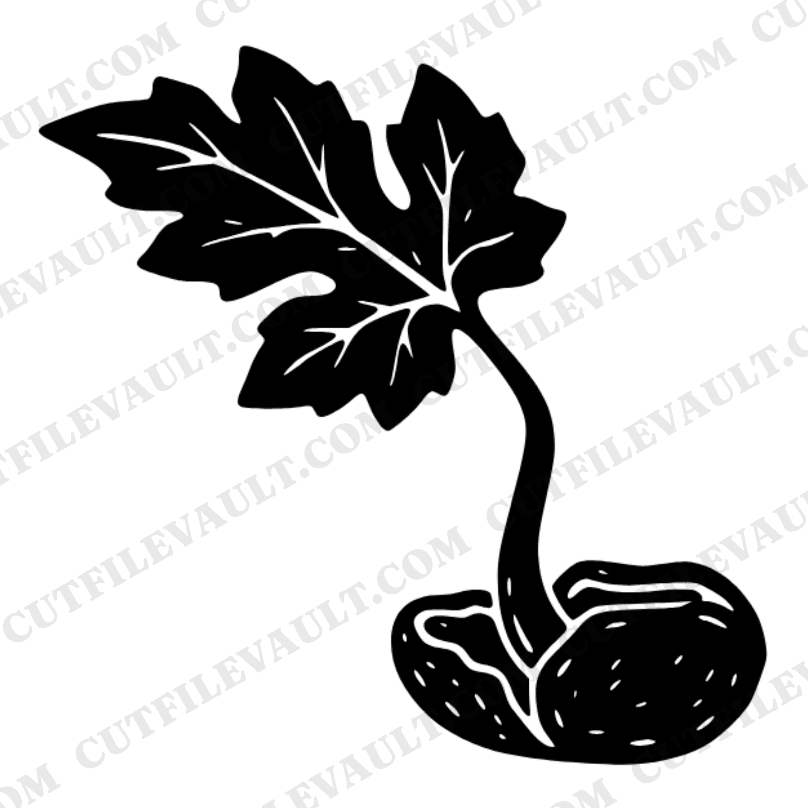 Watermelon Seedling Sprout SVG PNG, Asymmetric Cotyledon Leaves Cut File, Brutalist Doodle Design — view 1