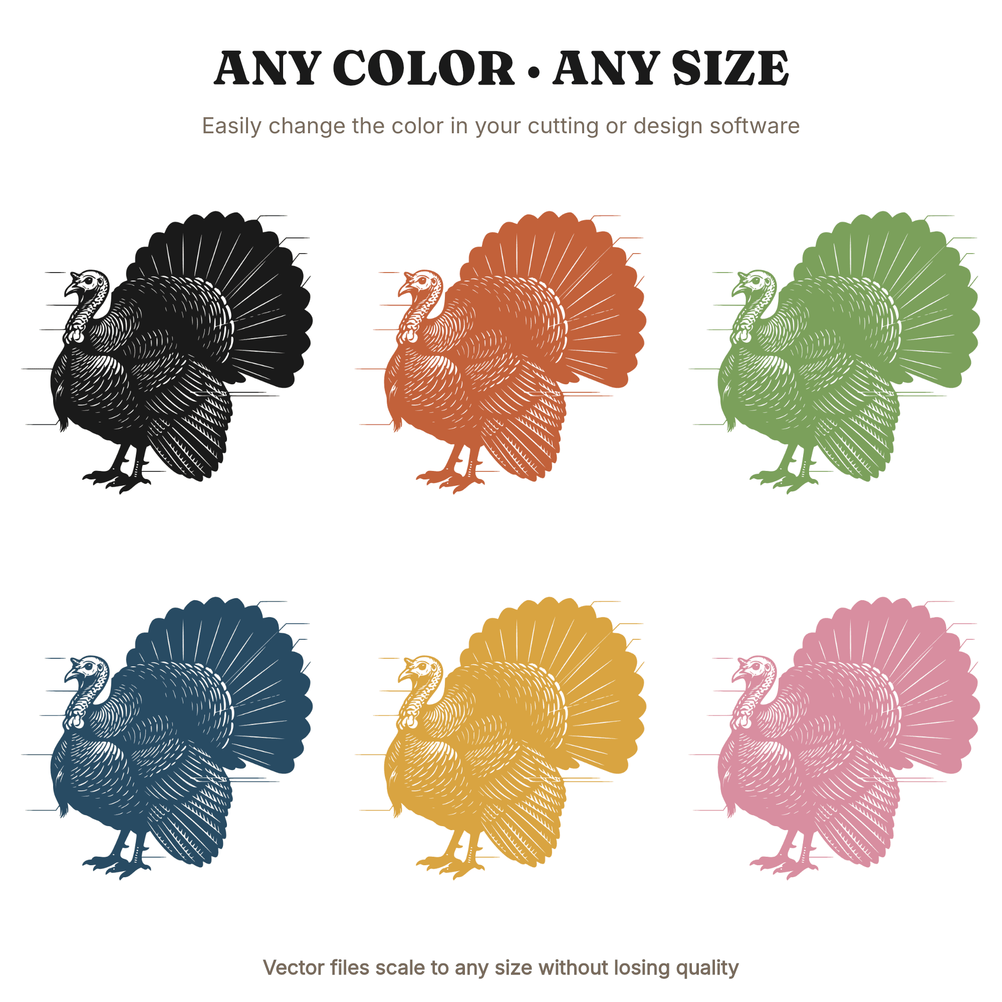 Botanical Turkey SVG PNG, Vintage Herbarium Specimen, Thanksgiving Turkey Cut File, Autumn Harvest Decor — view 2