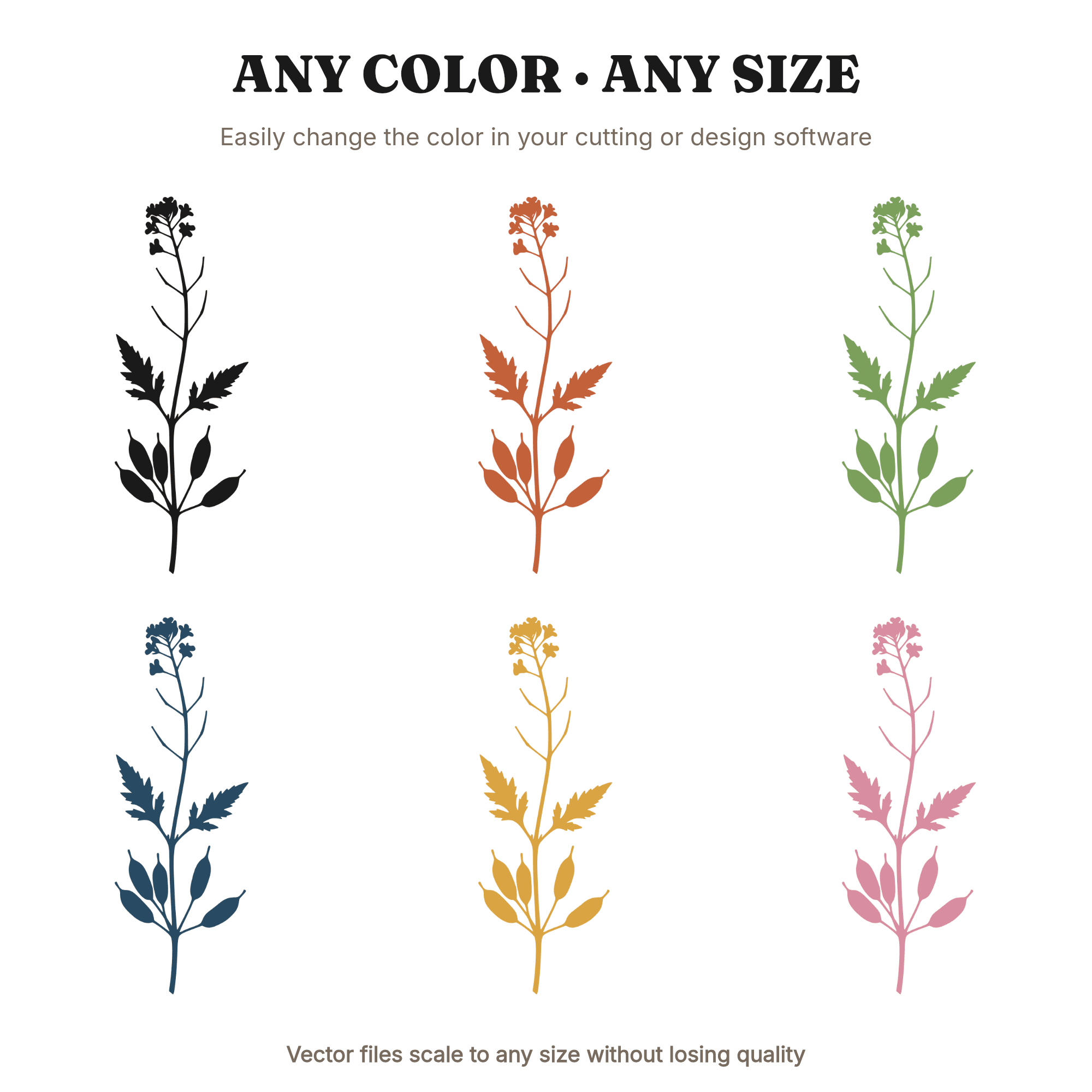 Mustard Botanical SVG PNG, Vintage Herbarium Specimen Cut File, Farmhouse Kitchen Wall Art Design — view 2
