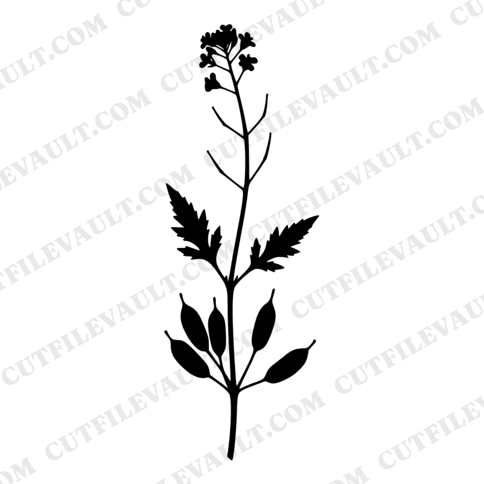 Mustard Botanical SVG PNG, Vintage Herbarium Specimen Cut File, Farmhouse Kitchen Wall Art Design — view 1