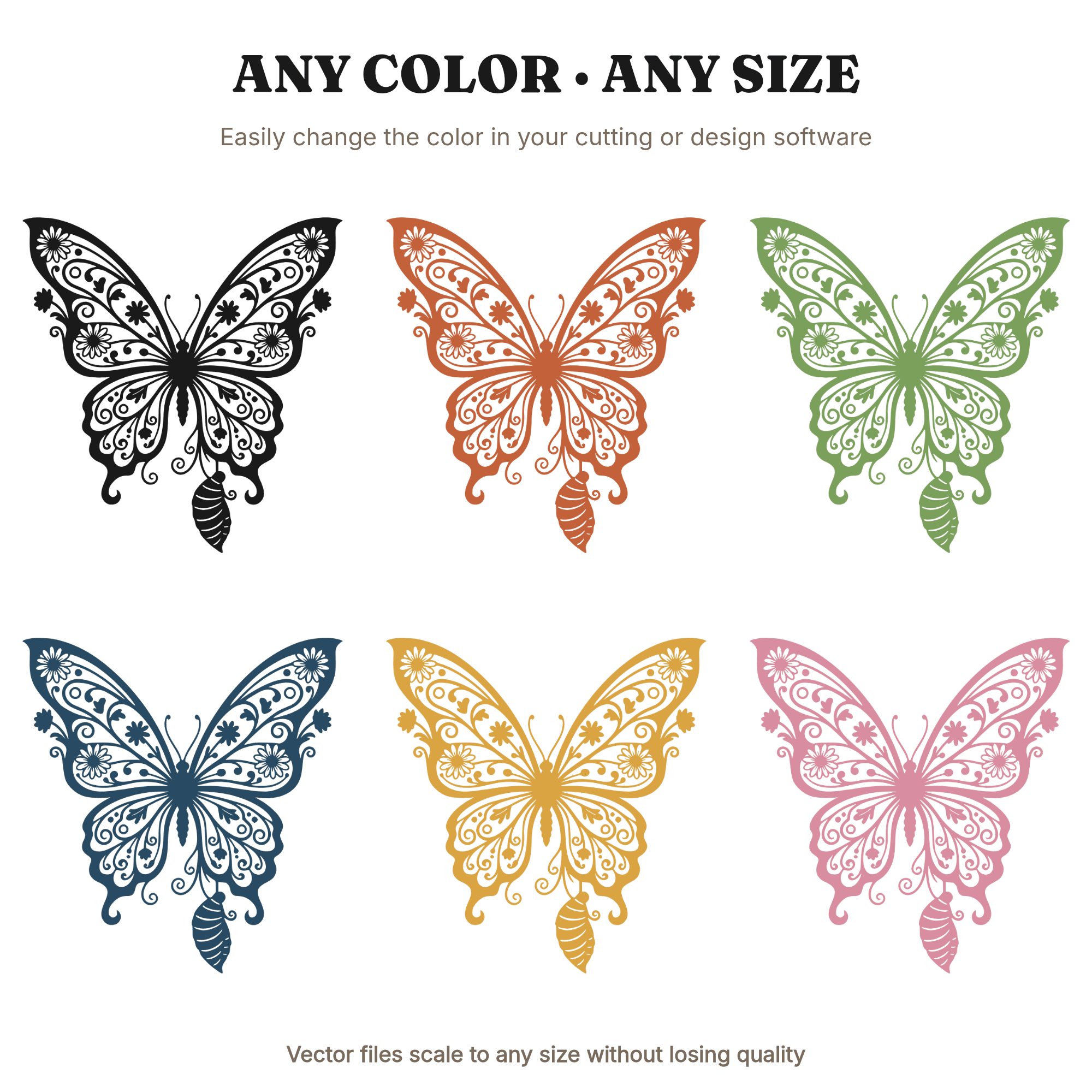 Butterfly Metamorphosis SVG PNG Art Nouveau Back to School Classroom Decor Cut File Design — view 2