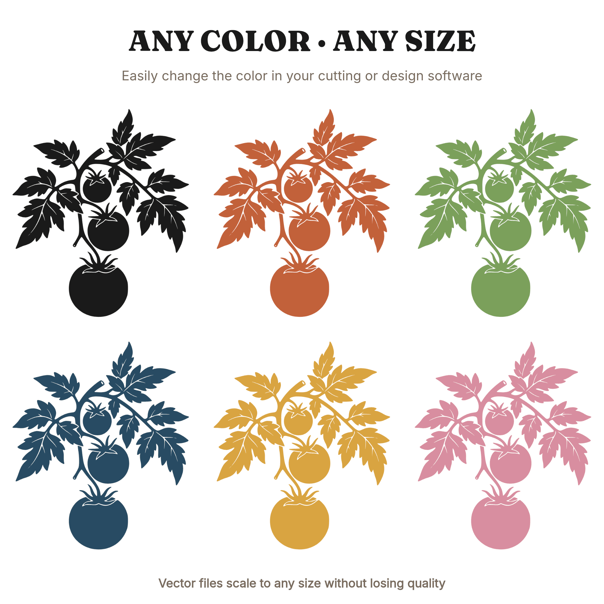 Heirloom Tomato Vine SVG PNG, Vintage Botanical Hanging Tomato Cluster Cut File, Farmhouse Kitchen, view 2