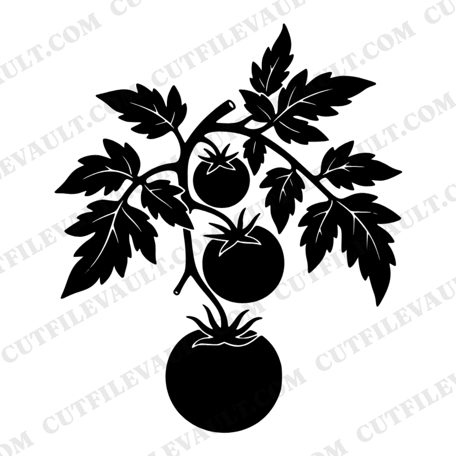 Heirloom Tomato Vine SVG PNG, Vintage Botanical Hanging Tomato Cluster Cut File, Farmhouse Kitchen, view 1