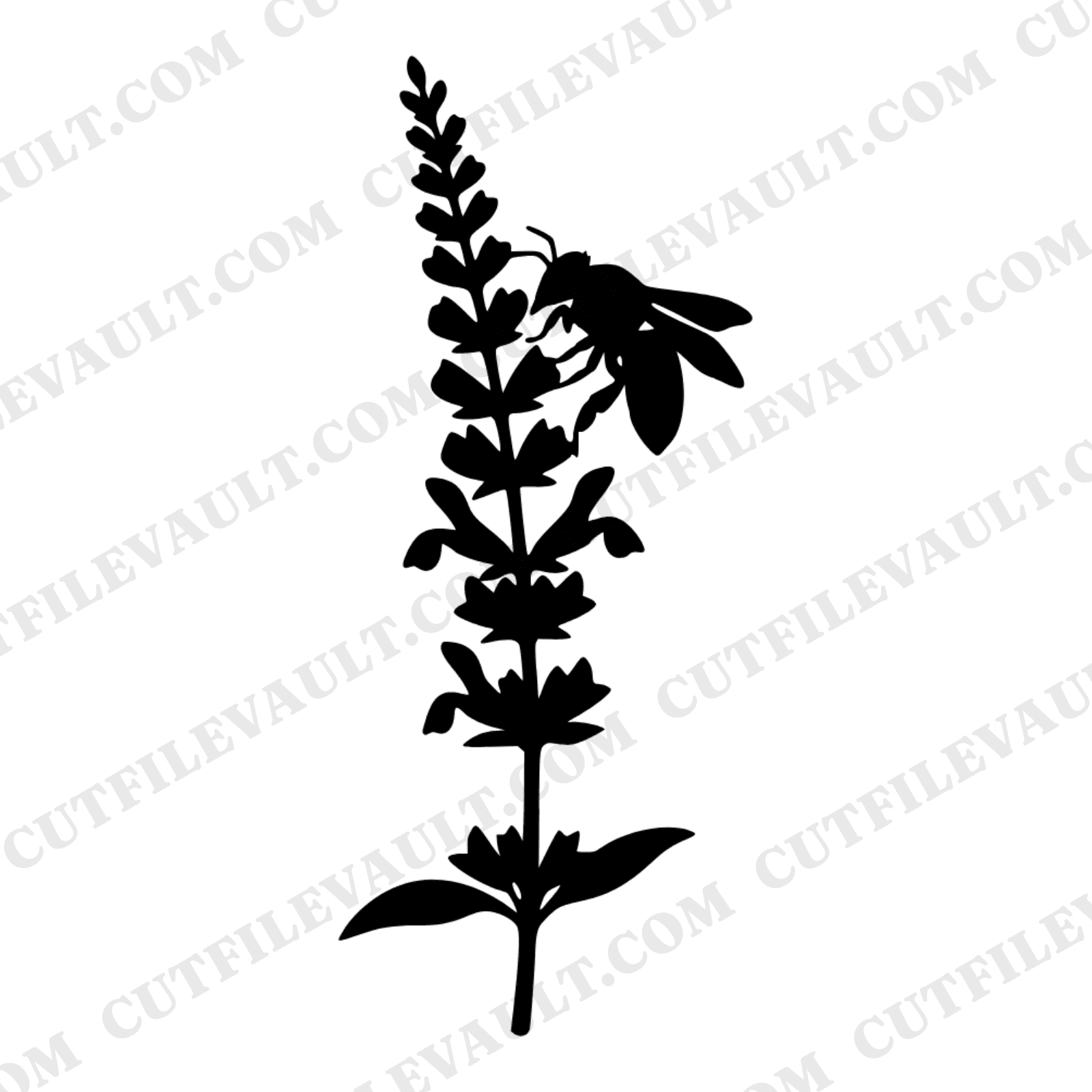 Honey Bee on Sage SVG PNG, Botanical Illustration Cut File, Scandinavian Line Art, Kitchen Decor