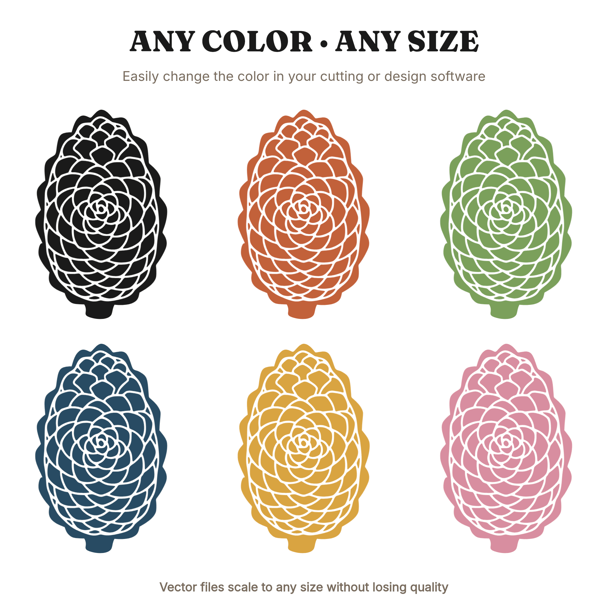 Botanical Pine Cone Cross Section SVG PNG, Vintage Christmas Decor Cut File, Farmhouse Holiday Art, view 2
