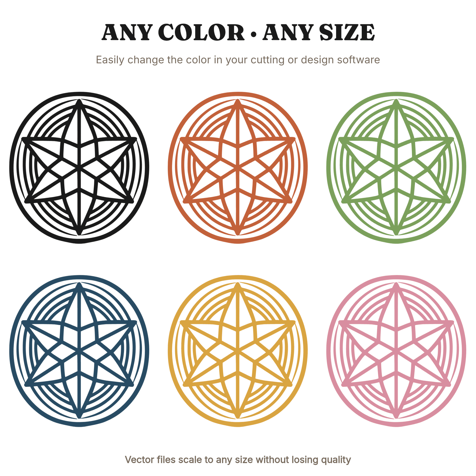 Nutmeg Star Cross Section SVG PNG, Holiday Spice Kitchen Wall Art, Celestial Christmas Decor Cut File, view 2