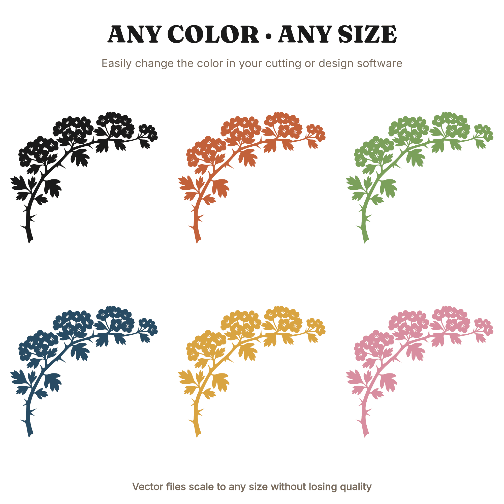 Hawthorn Branch SVG, Irish Botanical Spring Blooms PNG, Vintage St. Patrick's Day Cut File, view 2