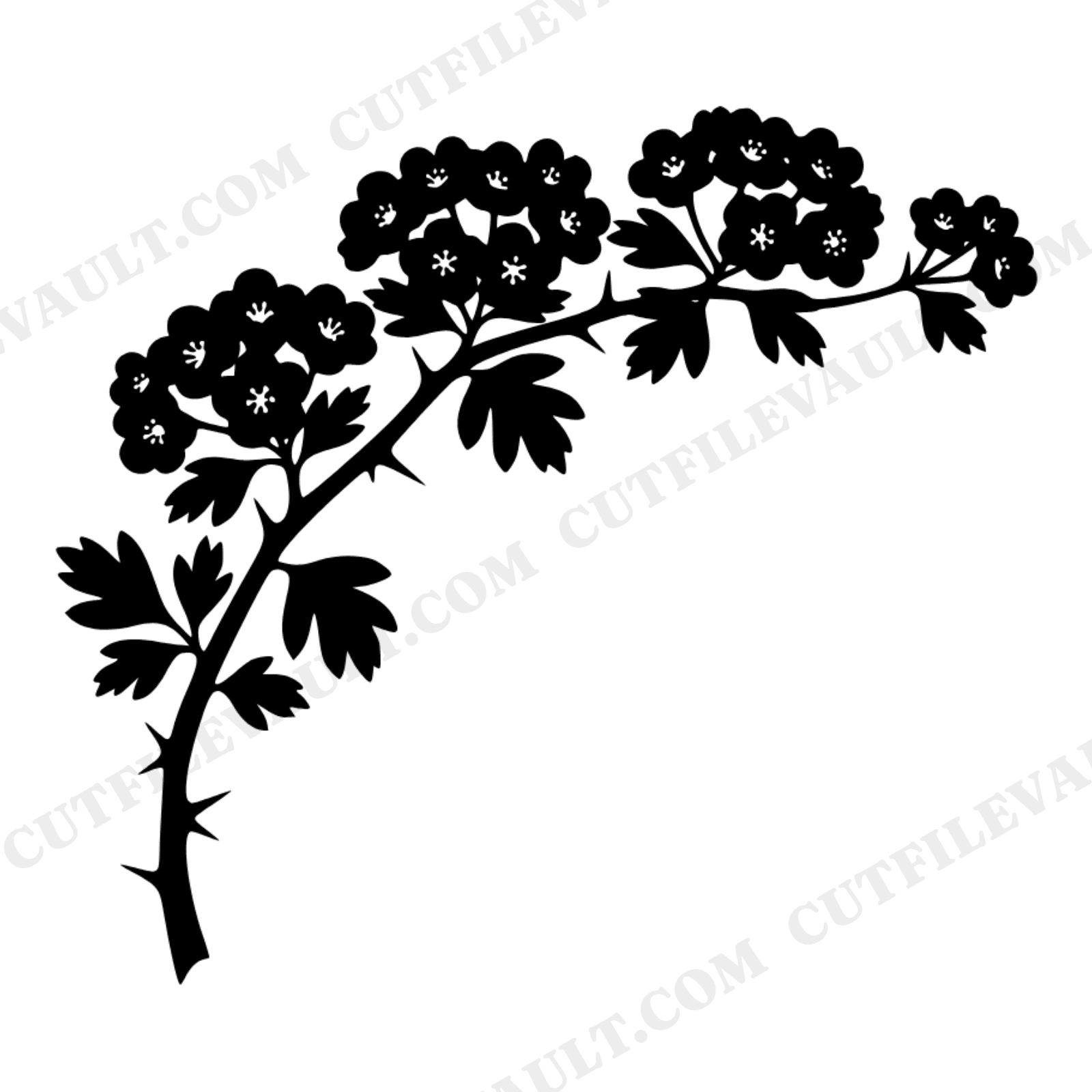 Hawthorn Branch SVG, Irish Botanical Spring Blooms PNG, Vintage St. Patrick's Day Cut File, view 1