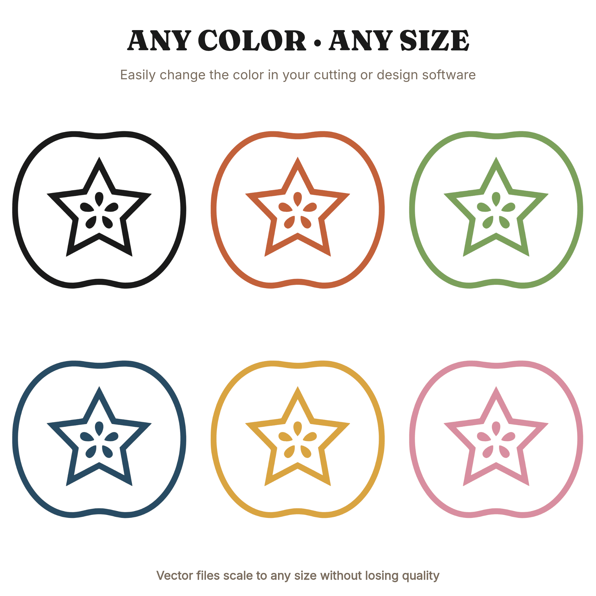 Apple Star Cross Section SVG PNG, Teacher Appreciation Gift, Botanical Apple Cut File, Classroom Decor, view 2