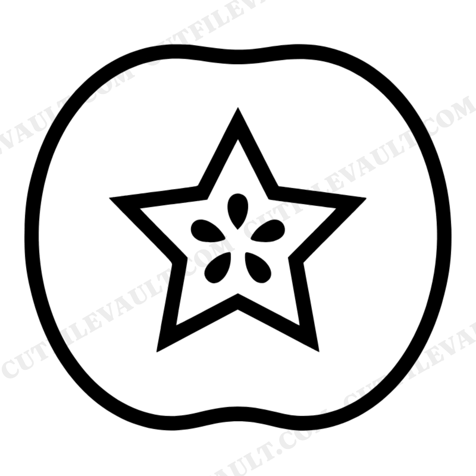 Apple Star Cross Section SVG PNG, Teacher Appreciation Gift, Botanical Apple Cut File, Classroom Decor, view 1