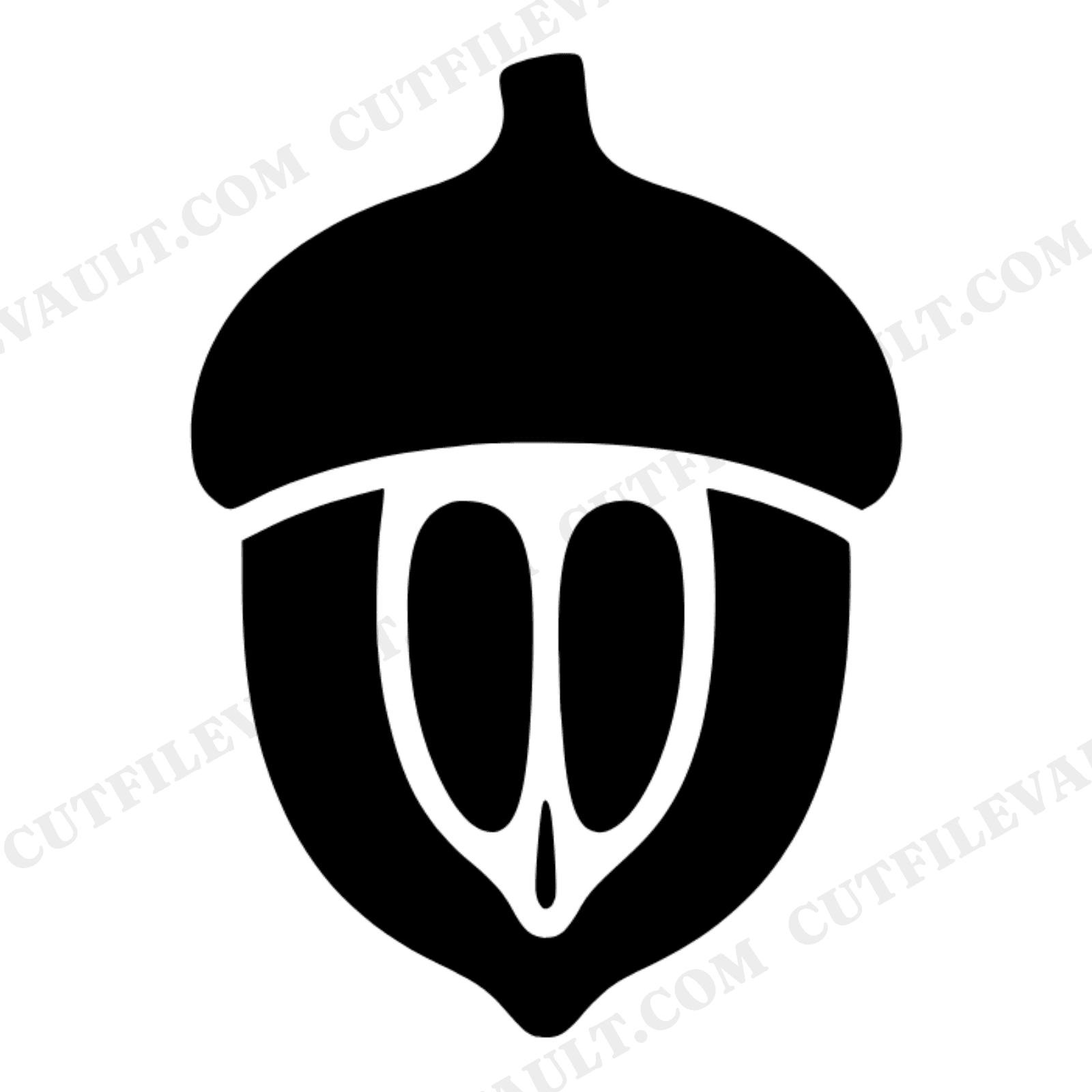 Autumn Acorn Cross Section SVG PNG, Botanical Specimen Illustration, Fall Nature Cut File, view 1