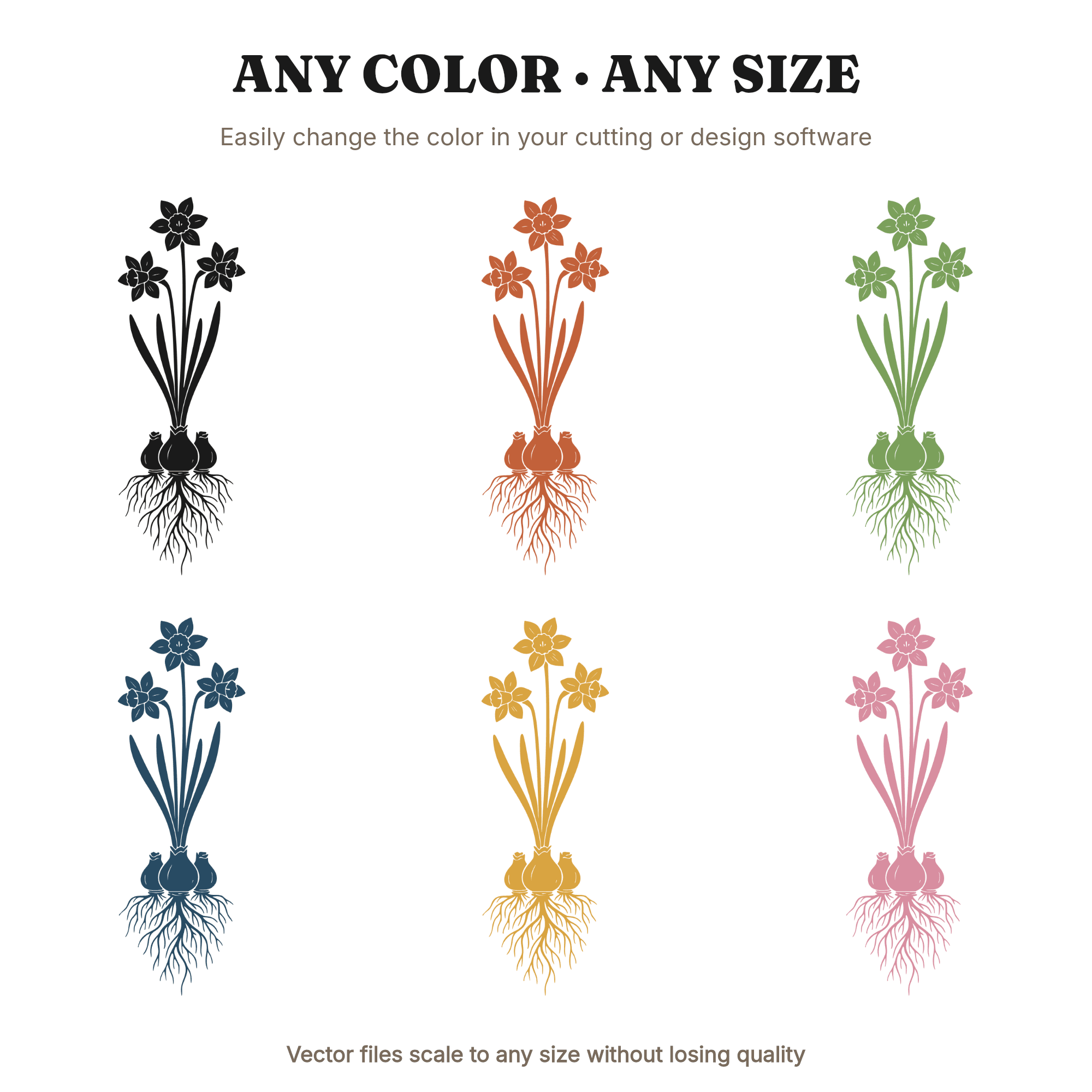 Daffodil Bulb to Bloom Cross Section SVG PNG, Easter Spring Botanical Cut File, Minimalist Flower, view 2
