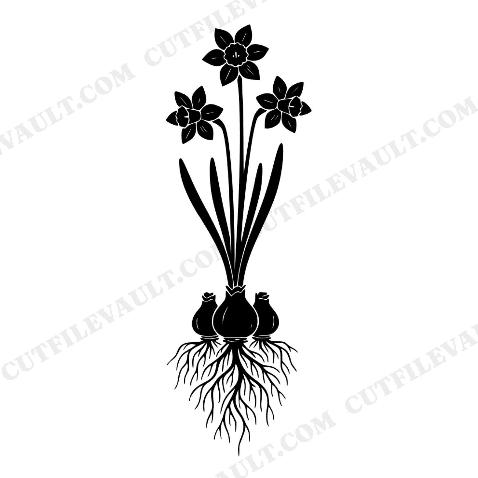 Daffodil Bulb to Bloom Cross Section SVG PNG, Easter Spring Botanical Cut File, Minimalist Flower, view 1