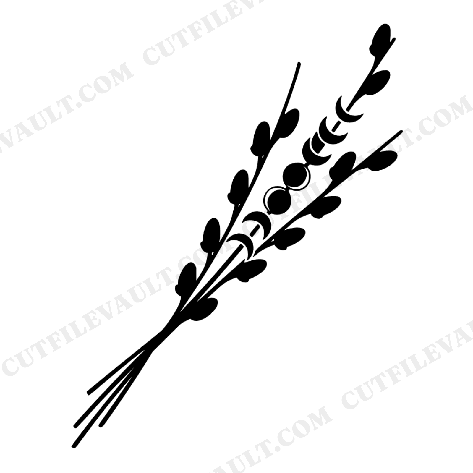 Celestial Pussy Willow Bundle SVG PNG, Moon Phases Botanical Cut File, Mystical Spring Branches, view 1