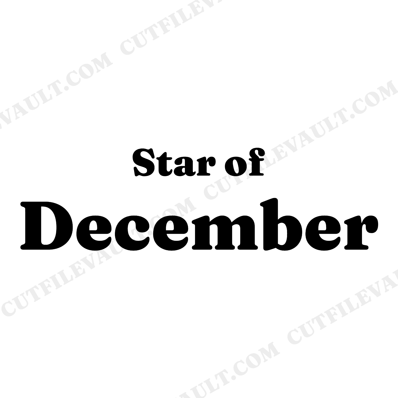 Poinsettia Star Christmas SVG PNG Folk Art Holiday Decoration Sign Cut File for Cricut, view 1