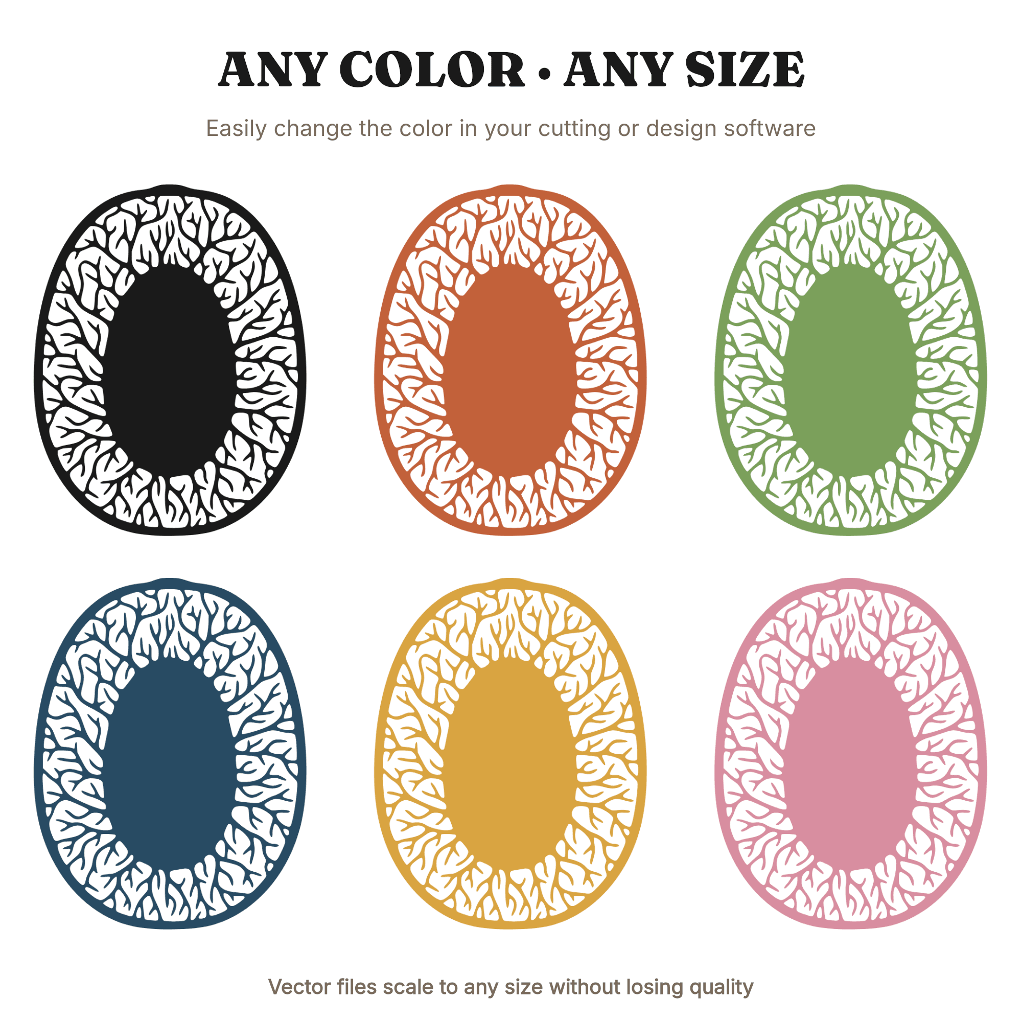 Nutmeg Cross Section SVG PNG Botanical Spice Illustration Farmhouse Kitchen Wall Art Cut File, view 2
