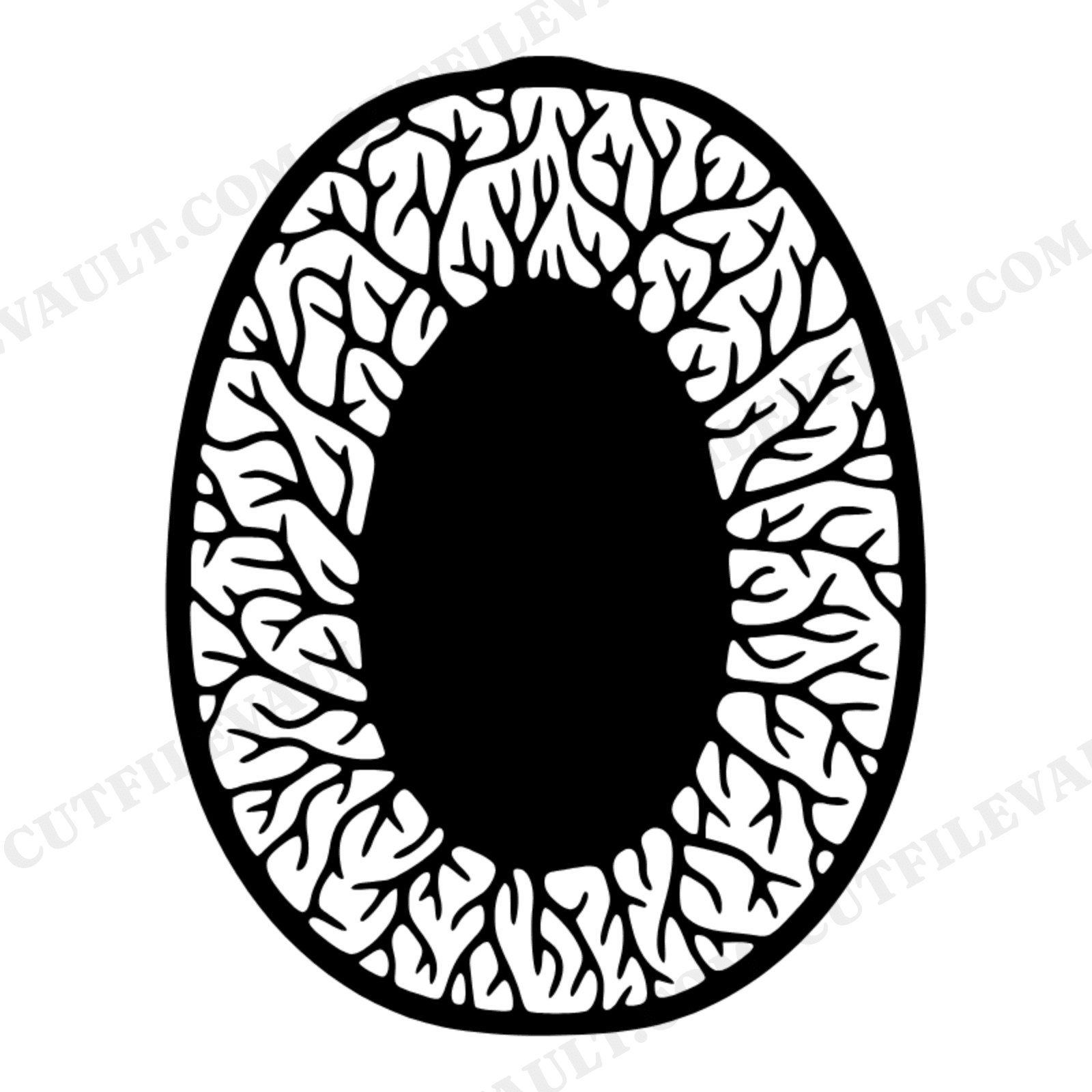 Nutmeg Cross Section SVG PNG Botanical Spice Illustration Farmhouse Kitchen Wall Art Cut File, view 1