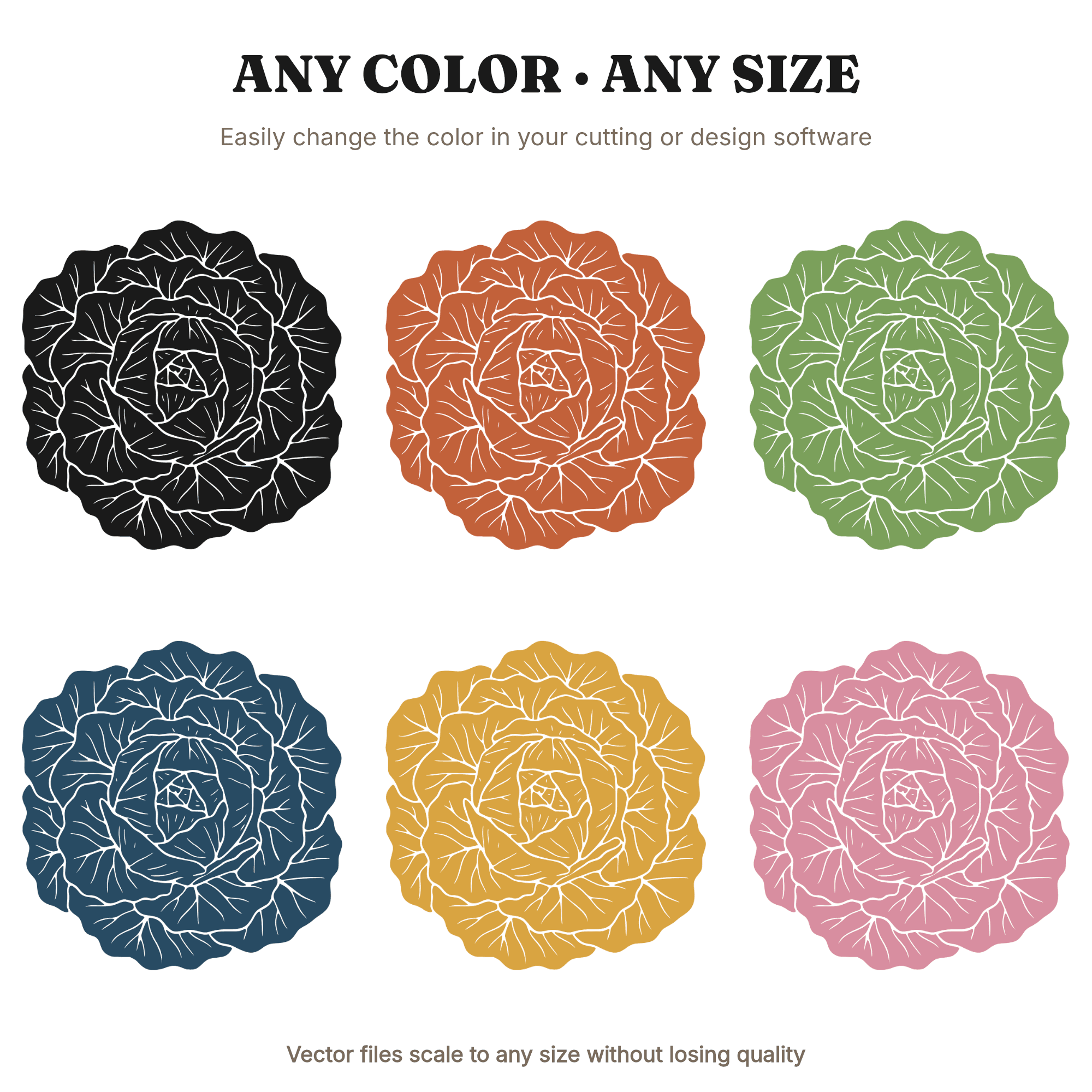 Irish Cabbage Overhead Spiral SVG PNG, Botanical Silhouette Cut File, St Patrick's Day Kitchen, view 2