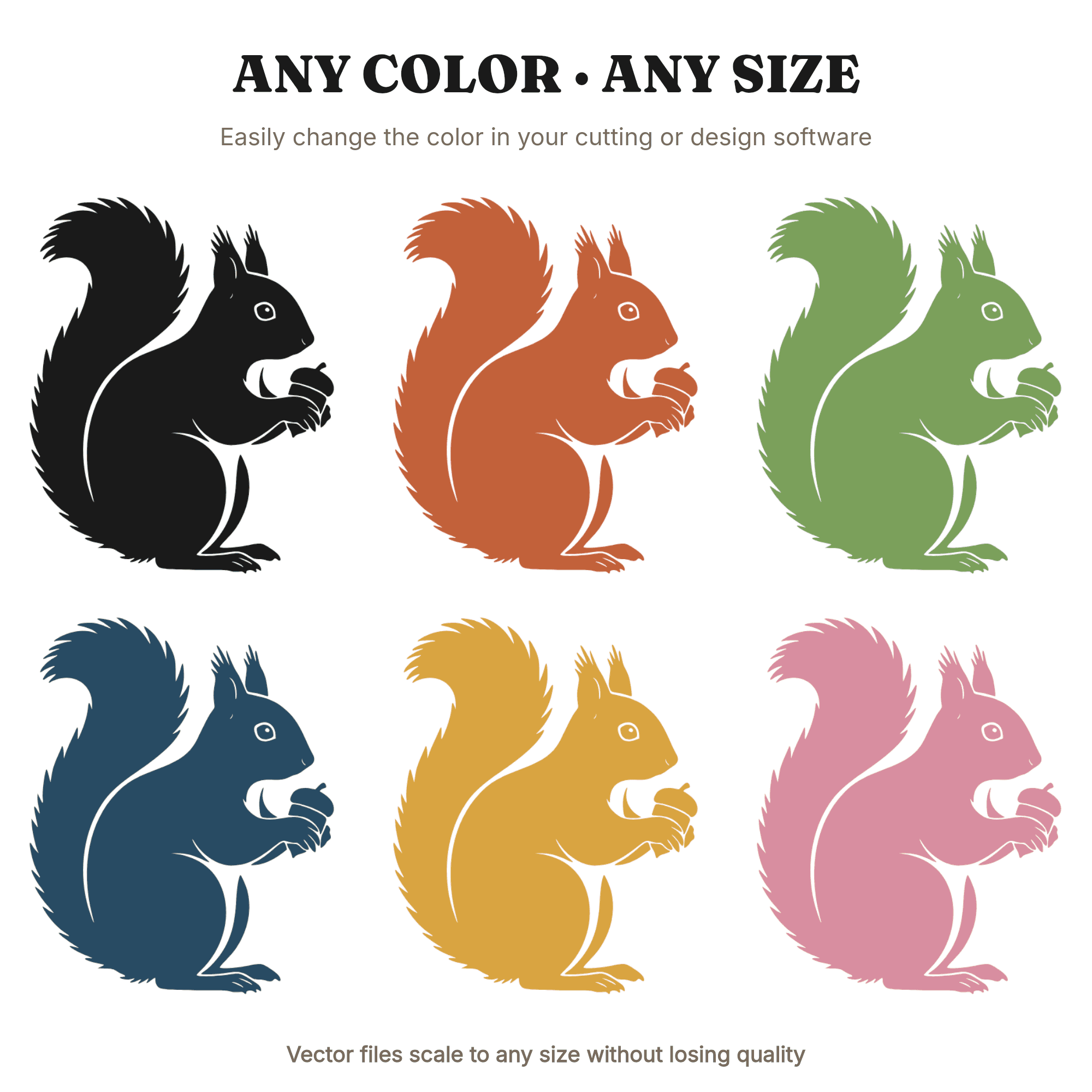 Back to School Squirrel SVG PNG, Vintage Botanical Acorn Silhouette, Teacher Classroom Decor Cut File, view 2