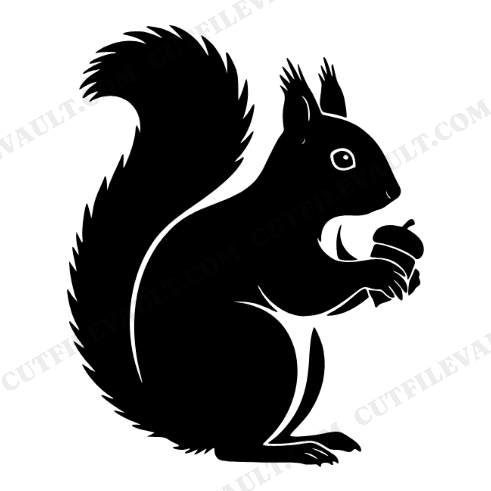 Back to School Squirrel SVG PNG, Vintage Botanical Acorn Silhouette, Teacher Classroom Decor Cut File, view 1