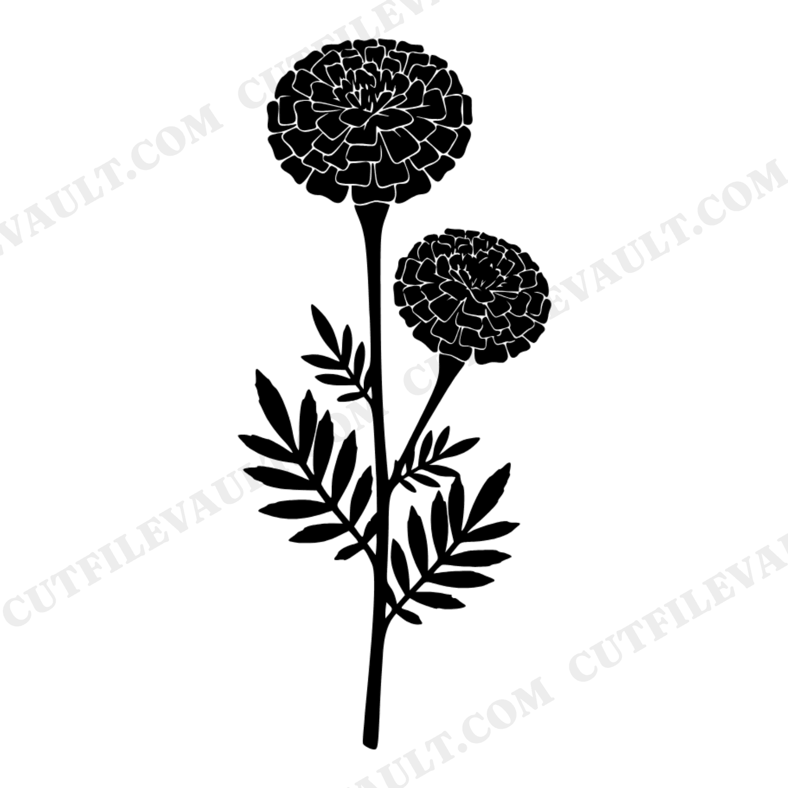 Día de los Muertos Marigold SVG PNG Herbarium Botanical Specimen Cut File Day of the Dead, view 1