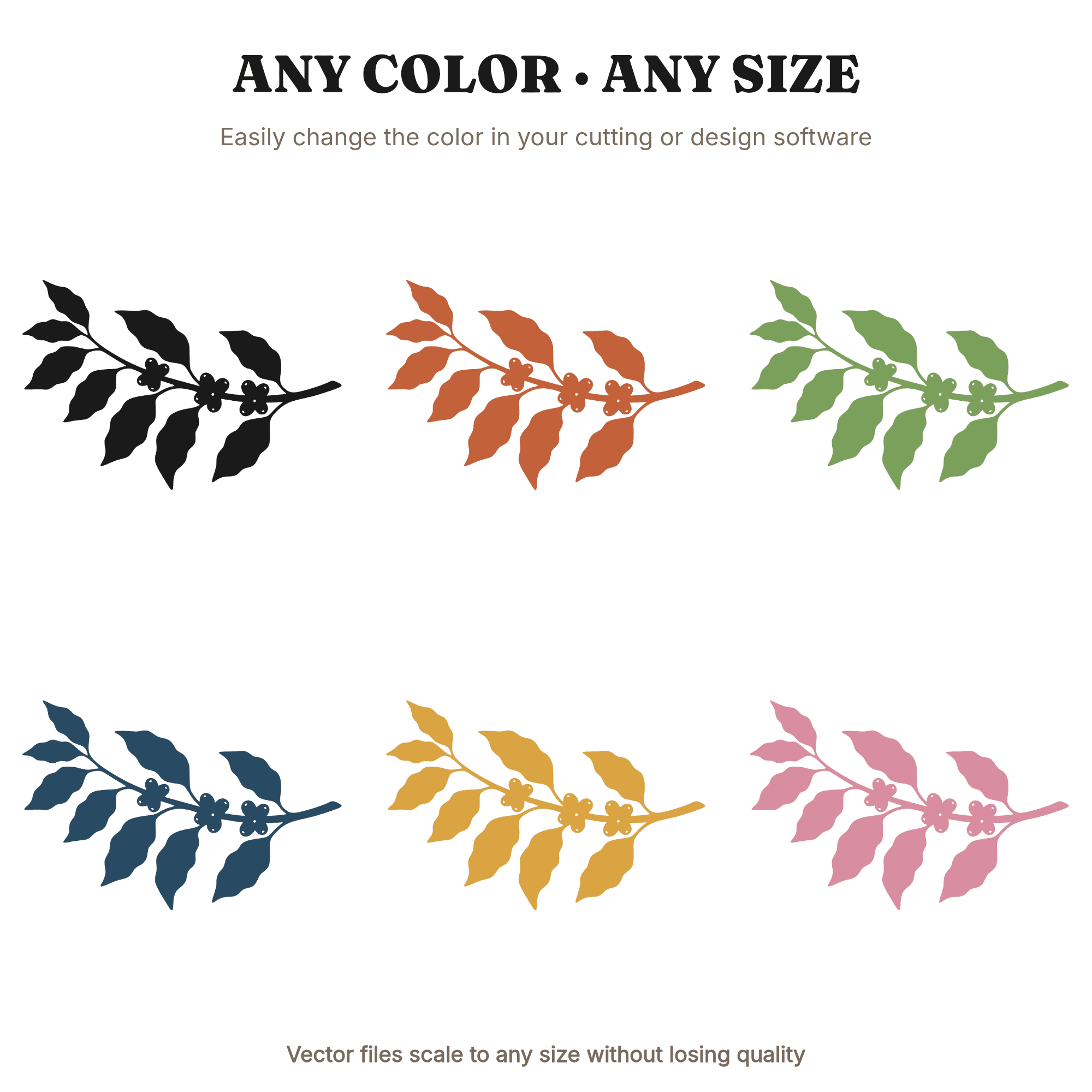 Coffee Plant Branch SVG PNG Mid Century Botanical Accent for National Coffee Day Vinyl Decal, view 2