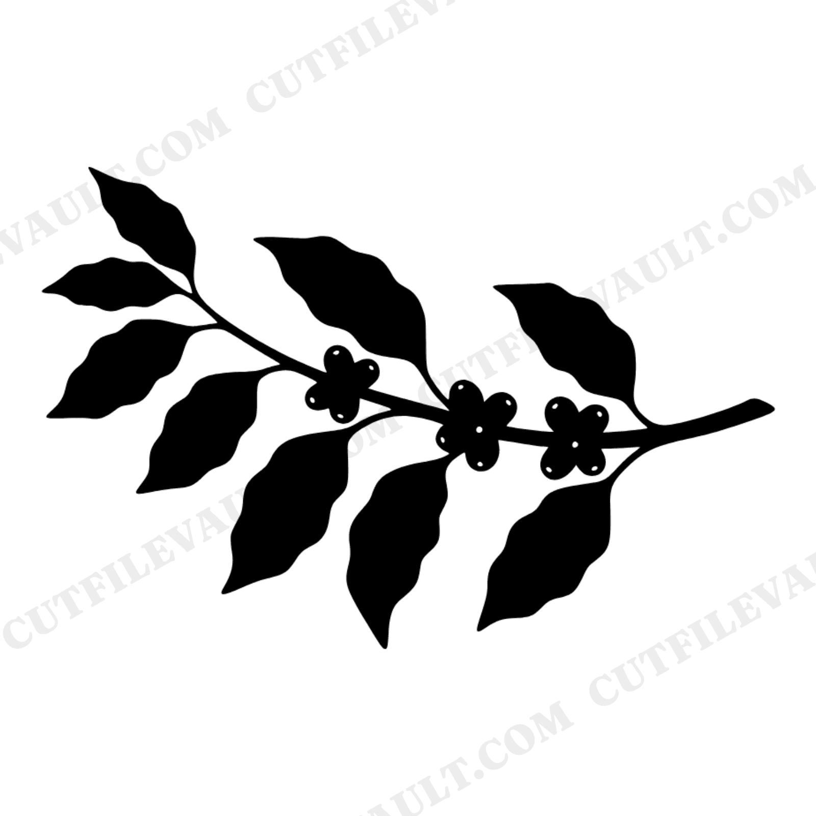 Coffee Plant Branch SVG PNG Mid Century Botanical Accent for National Coffee Day Vinyl Decal, view 1
