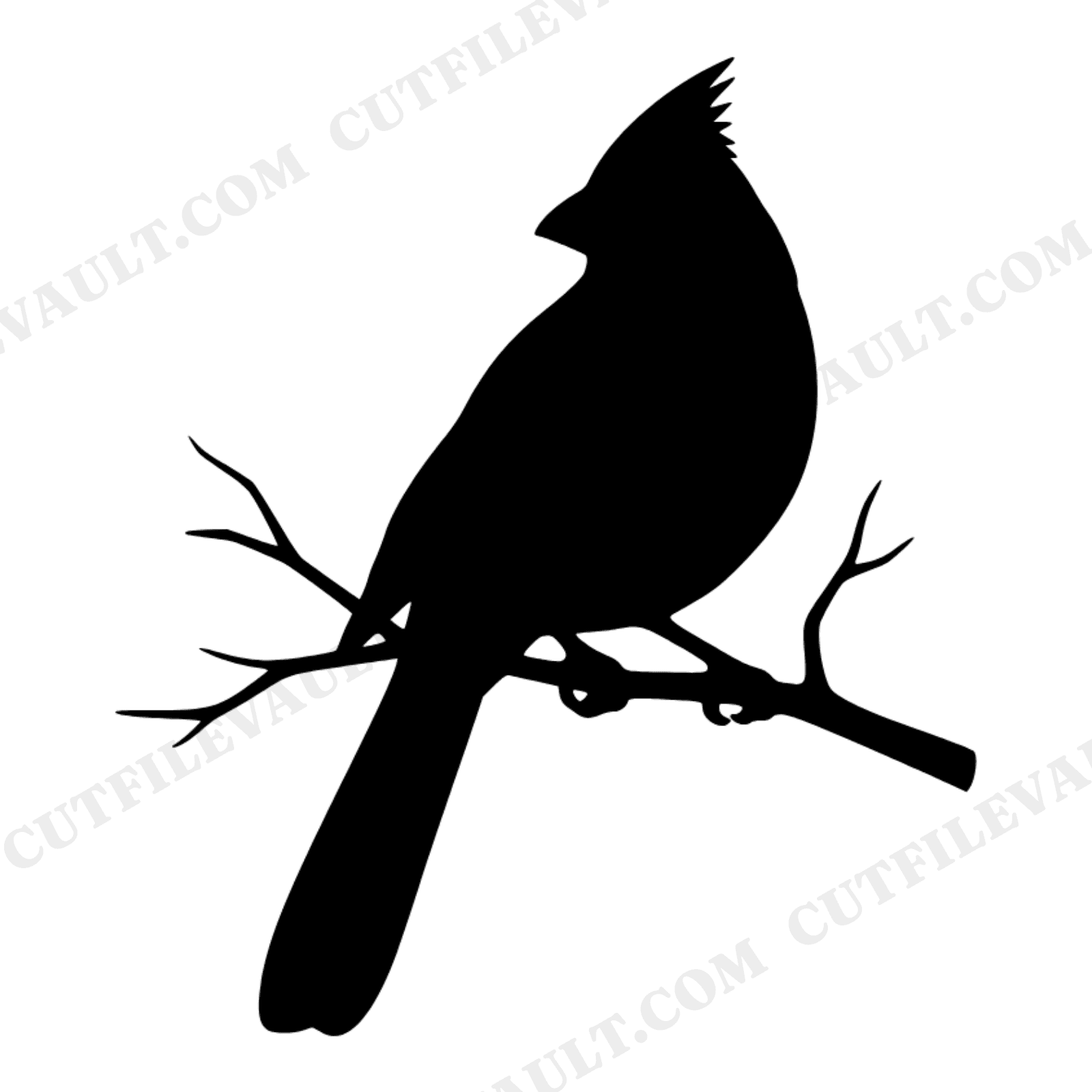 Christmas Cardinal SVG PNG, Winter Bird on Branch Line Art, Farmhouse Holiday Wall Decor Cut File, view 1