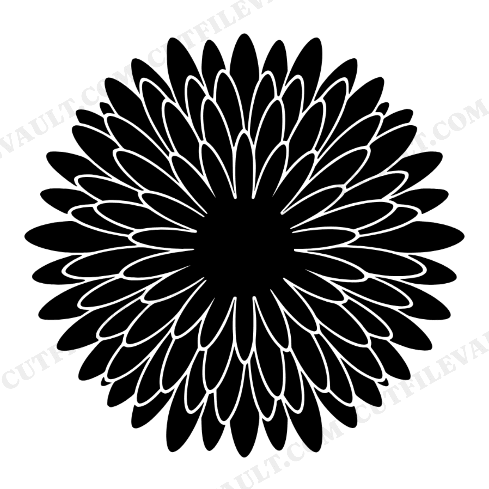 Chrysanthemum Starburst SVG PNG New Year Firework Bloom Silhouette Cut File Mid Century Floral, view 1