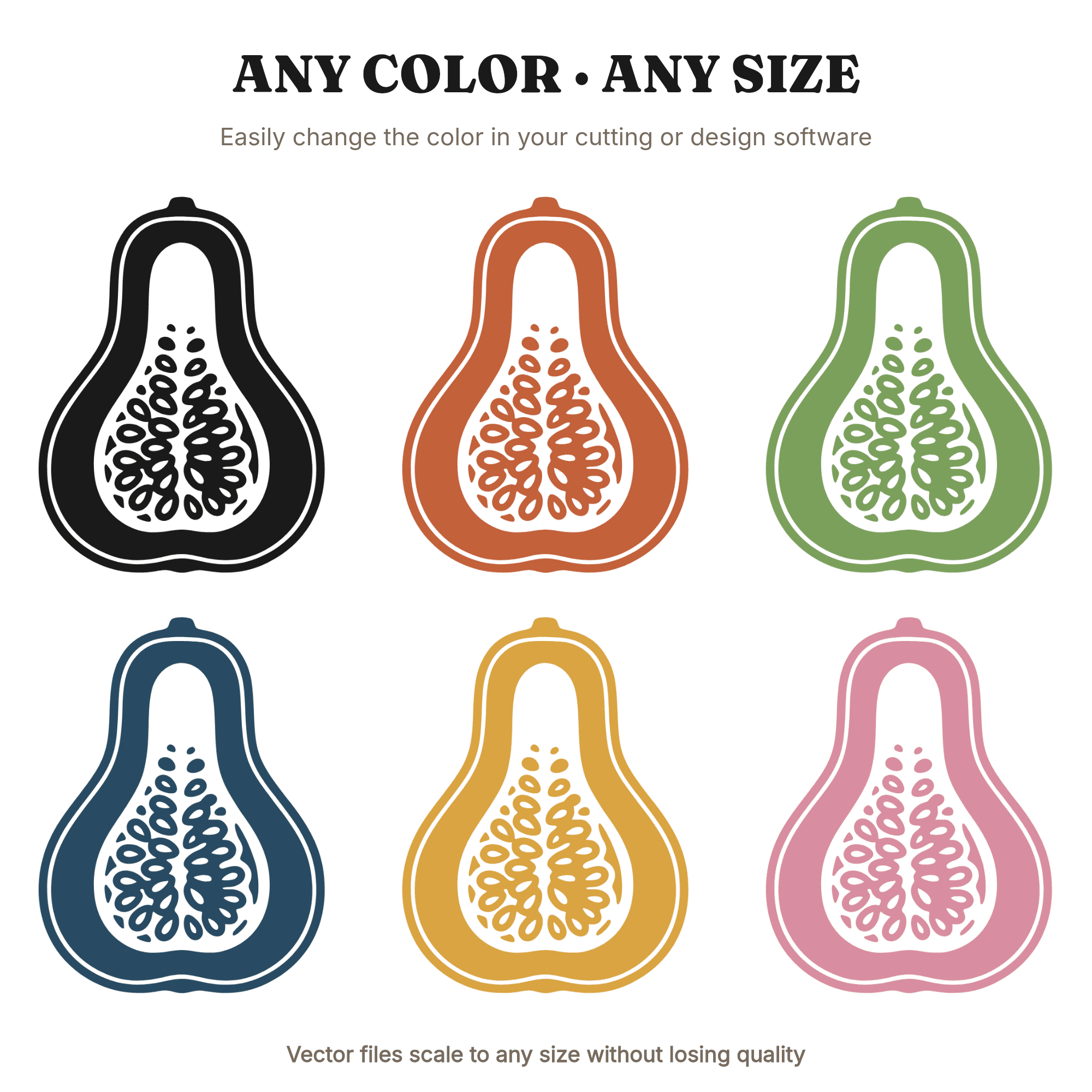 Botanical Gourd Cross Section SVG PNG, Herbarium Specimen Study, Thanksgiving Farmhouse Decor Cut File, view 2