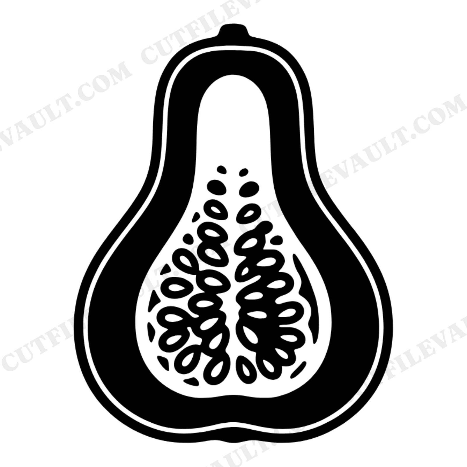 Botanical Gourd Cross Section SVG PNG, Herbarium Specimen Study, Thanksgiving Farmhouse Decor Cut File, view 1
