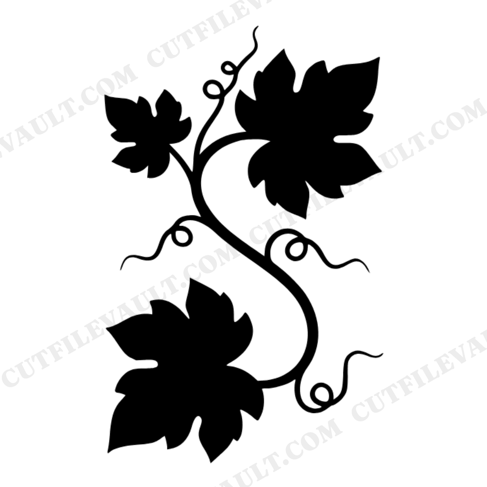 Pumpkin Vine SVG PNG, Whimsical Autumn Botanical Cut File, Mid Century Farmhouse Halloween Decor, view 1