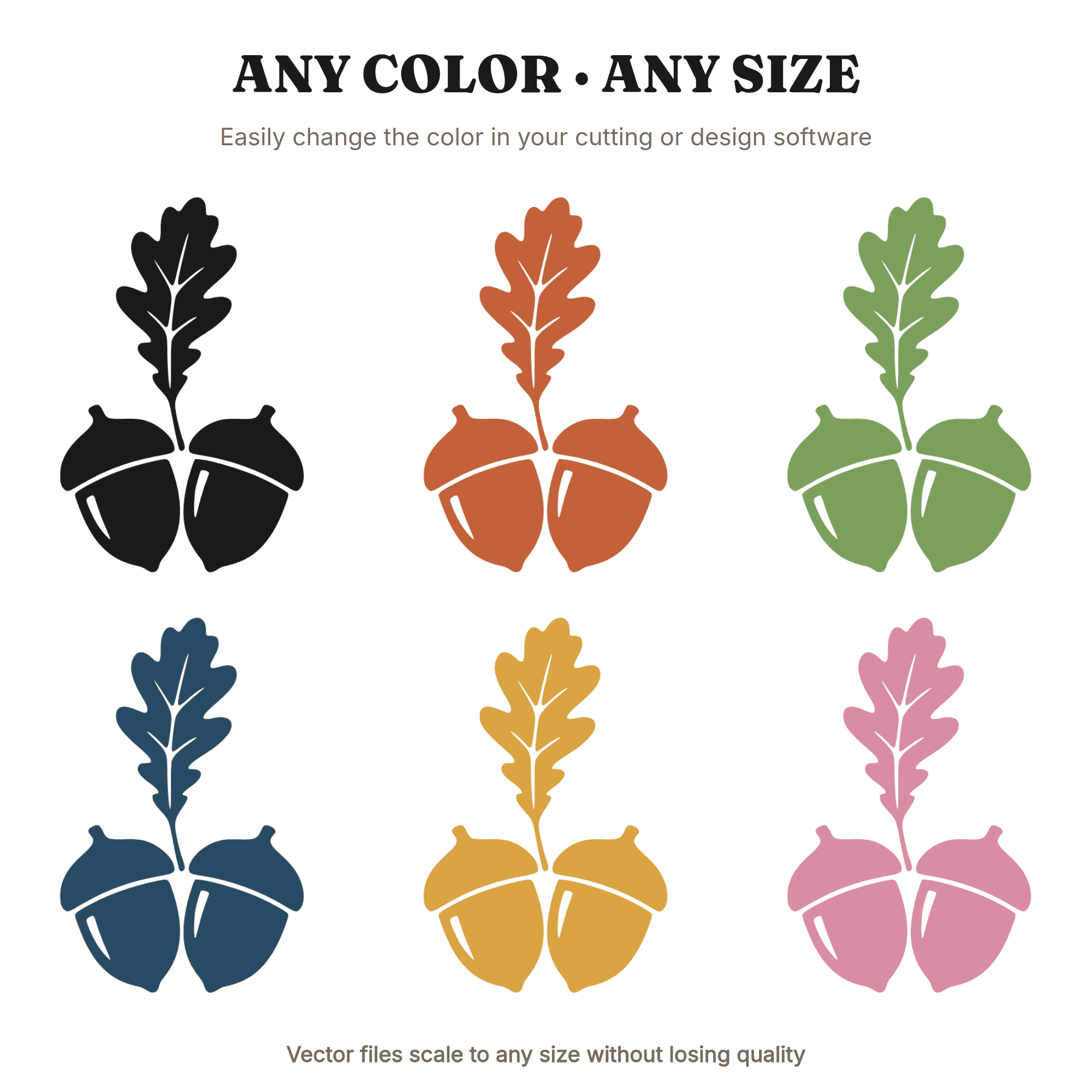 Acorn Cross Section SVG with Oak Leaf Sprouting, Thanksgiving Gratitude SVG PNG Fall Harvest Decor, view 2