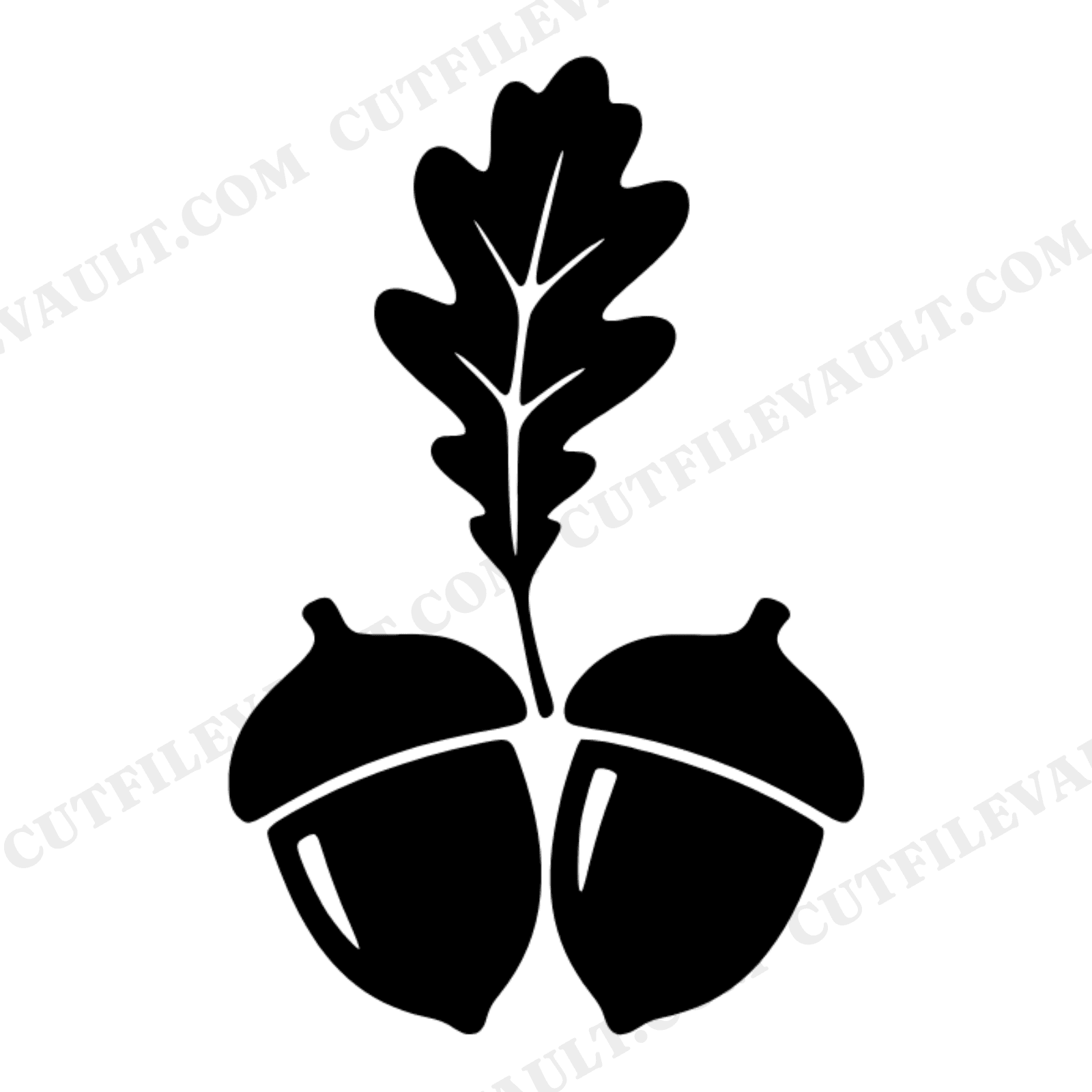 Acorn Cross Section SVG with Oak Leaf Sprouting, Thanksgiving Gratitude SVG PNG Fall Harvest Decor, view 1